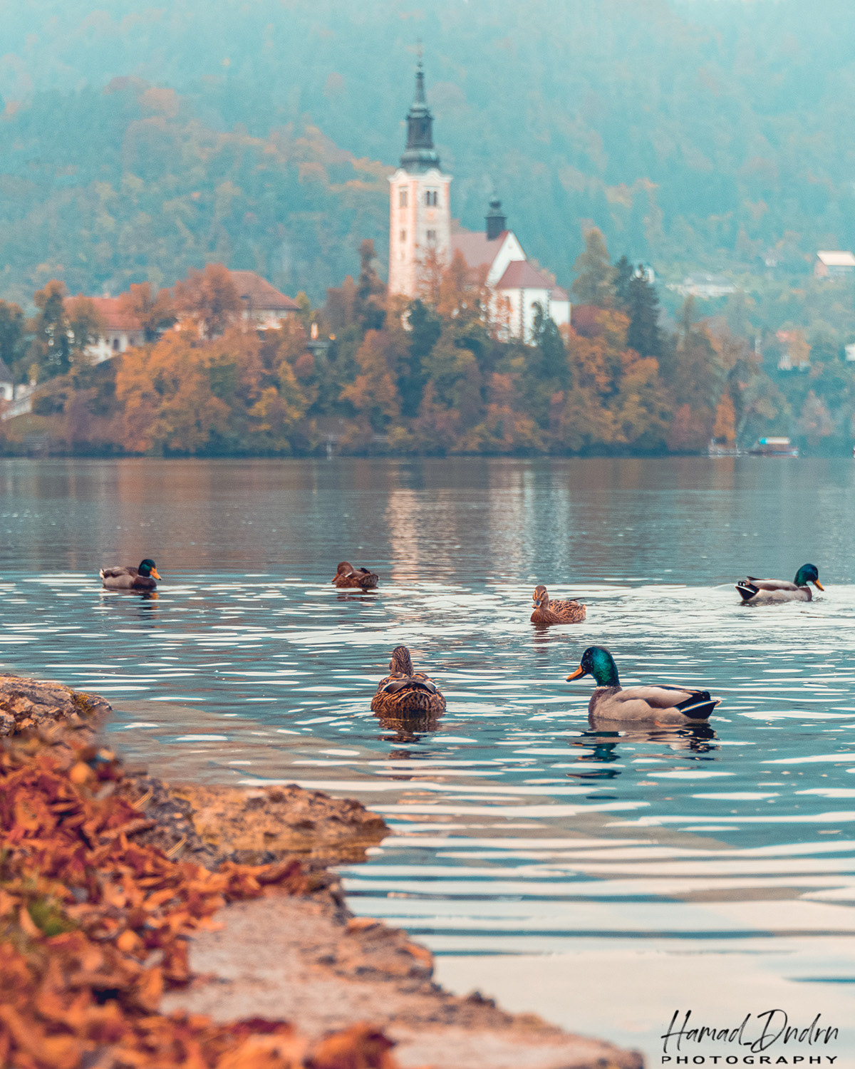 Bled