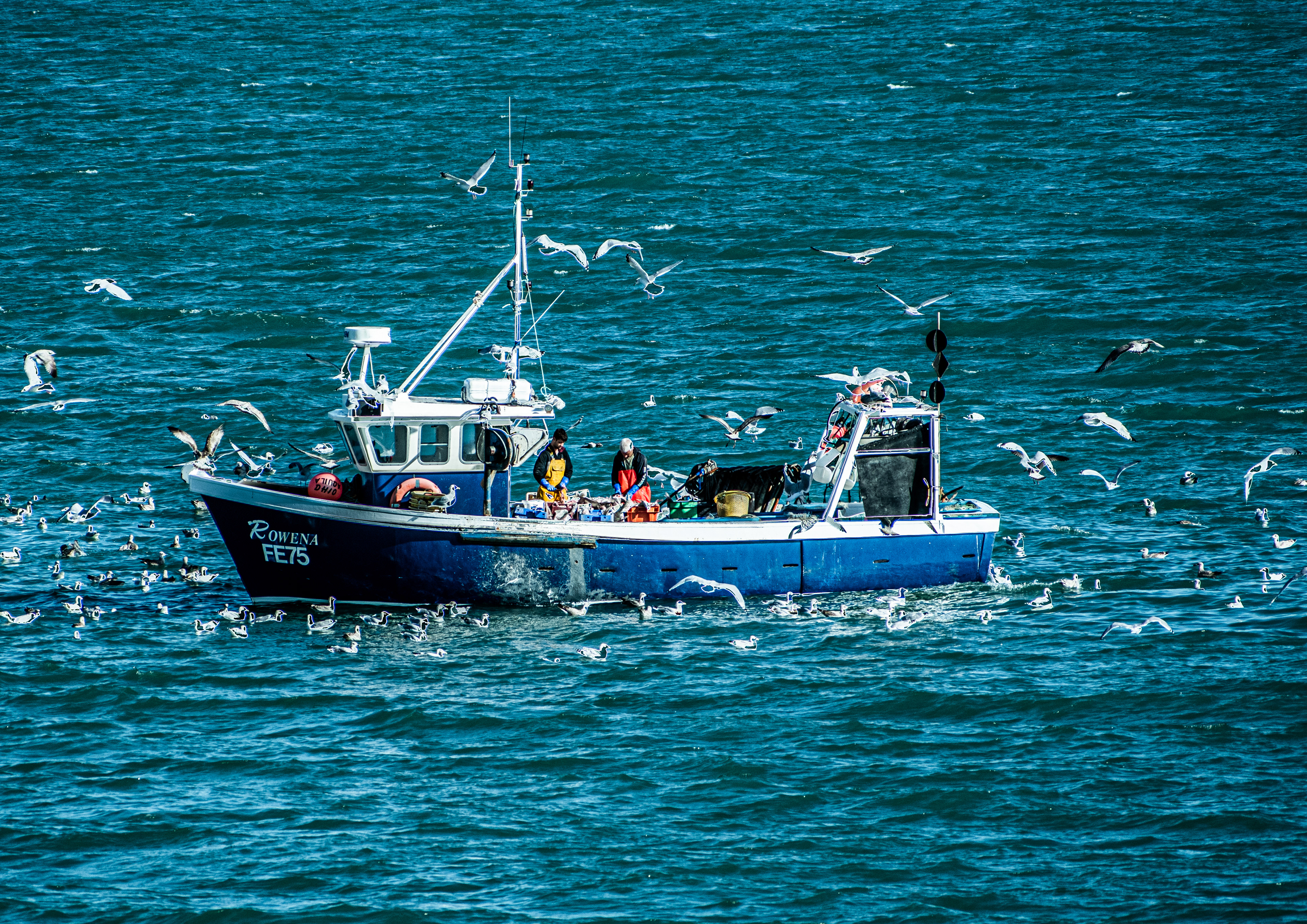 Portrait of Kent: Humans of Folkestone