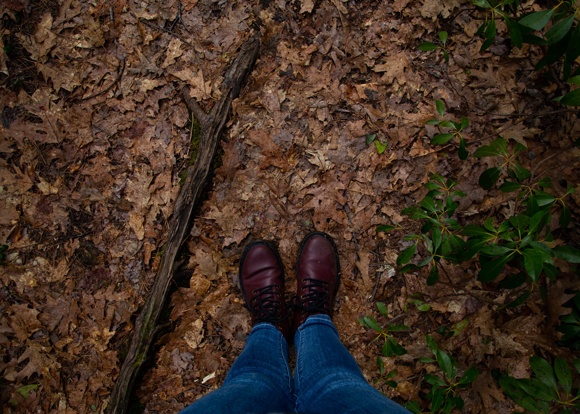 4/10/2020 - Willard Brook State Forest