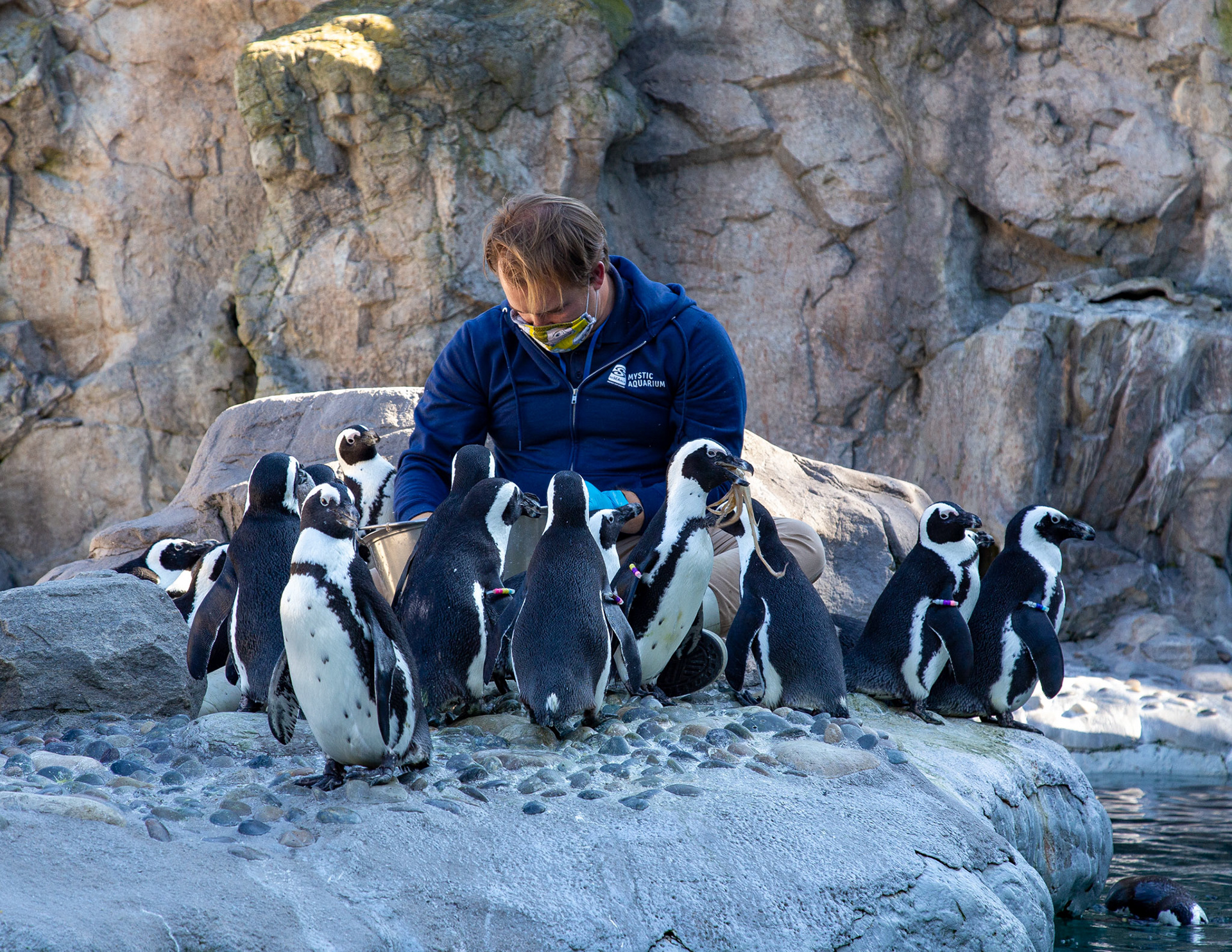 Mystic Aquarium, CT