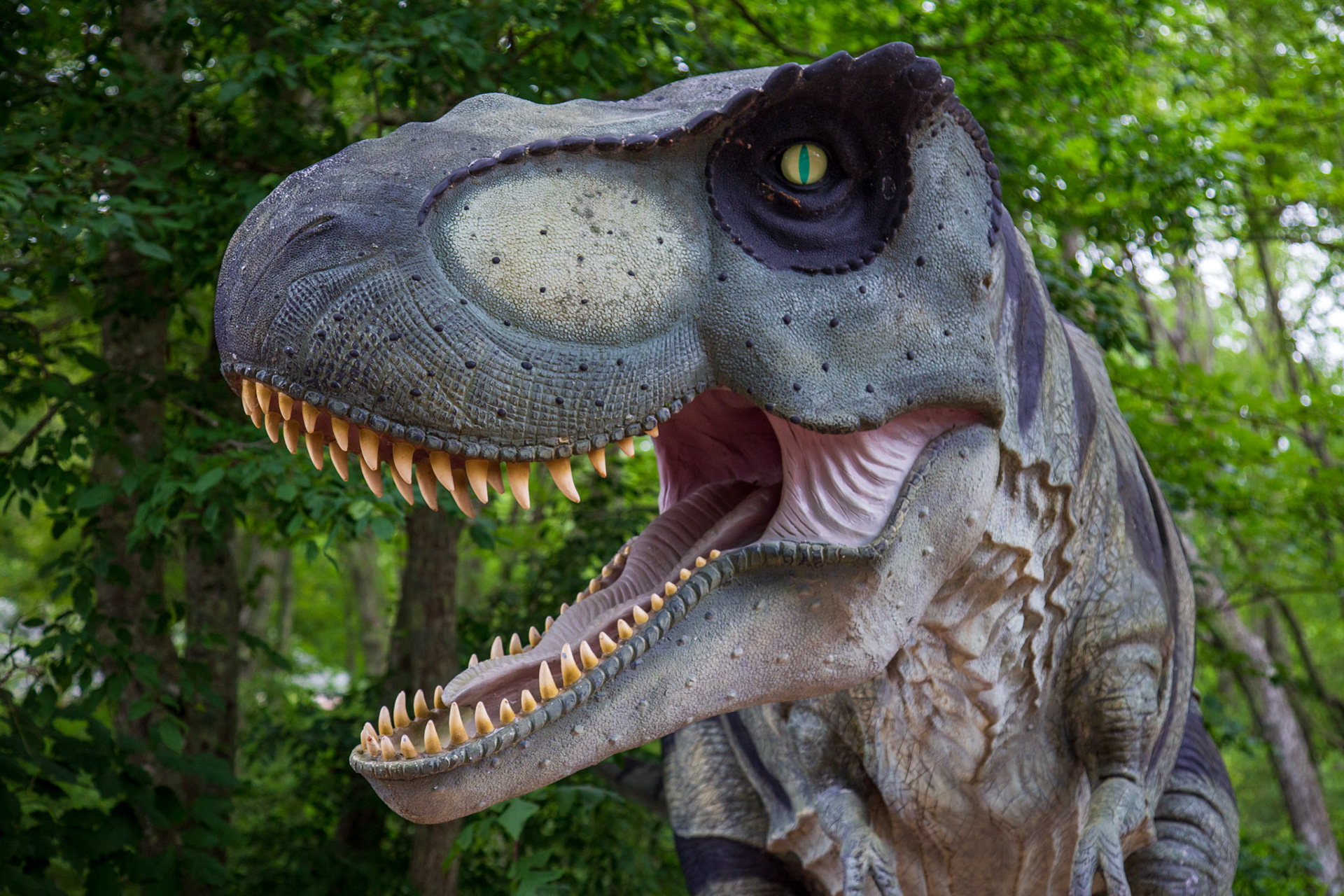 The Dinosaur Place, Montville, CT