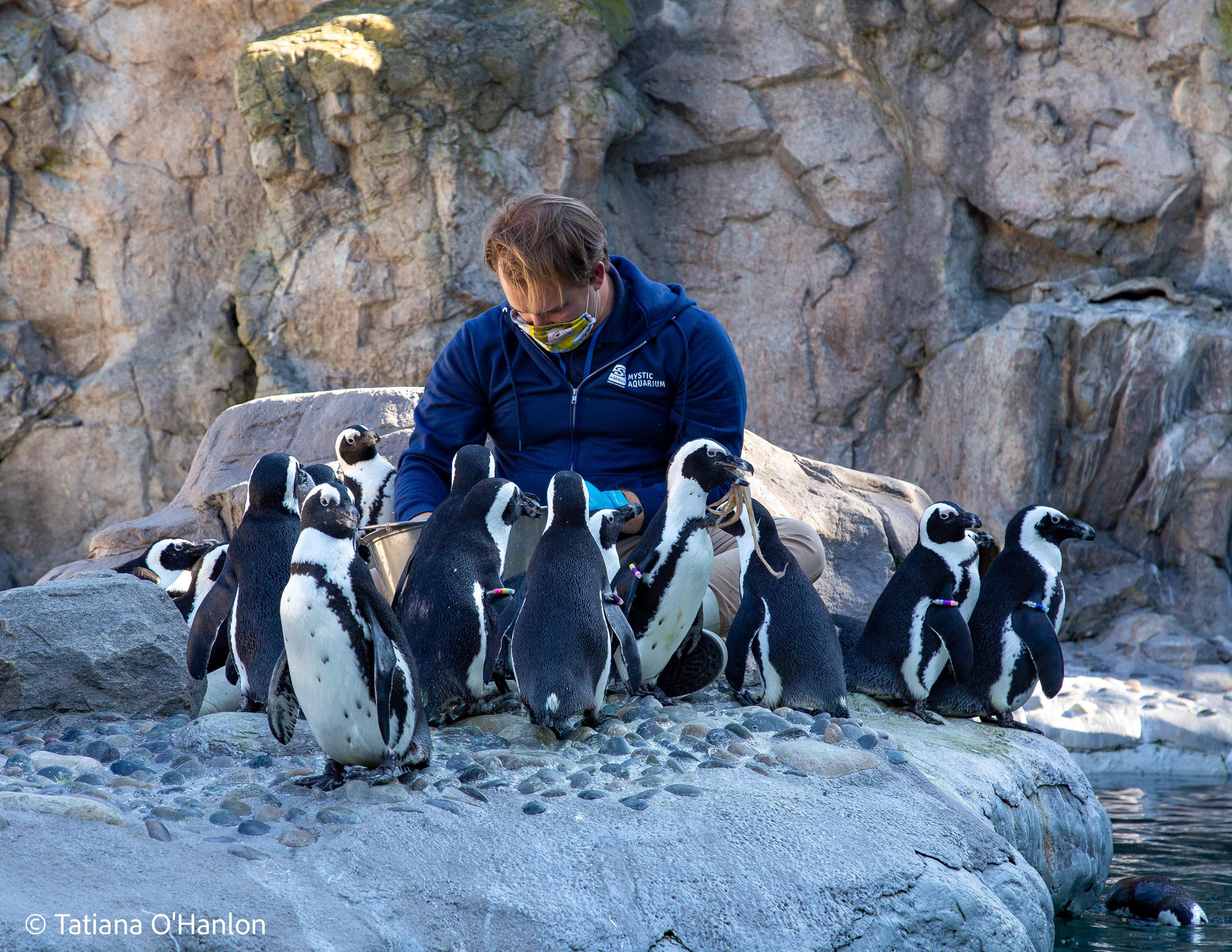 Mystic Aquarium