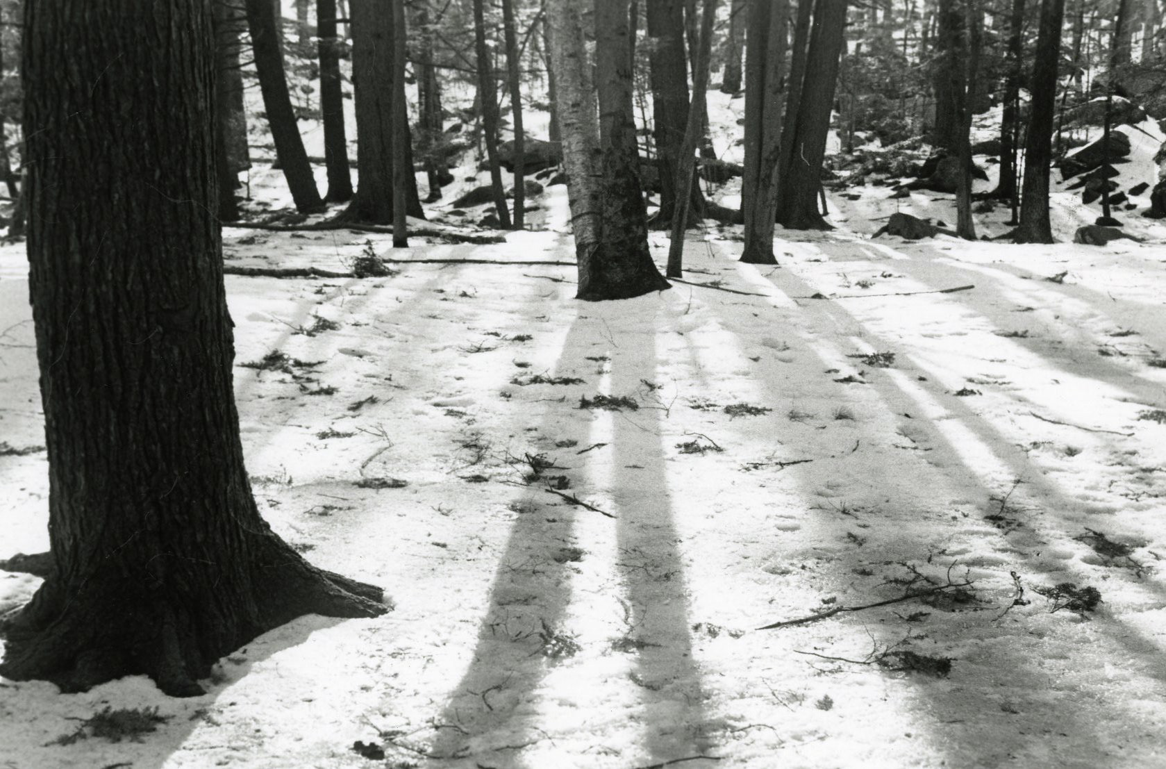 Coggshall Park, Fitchburg, MA