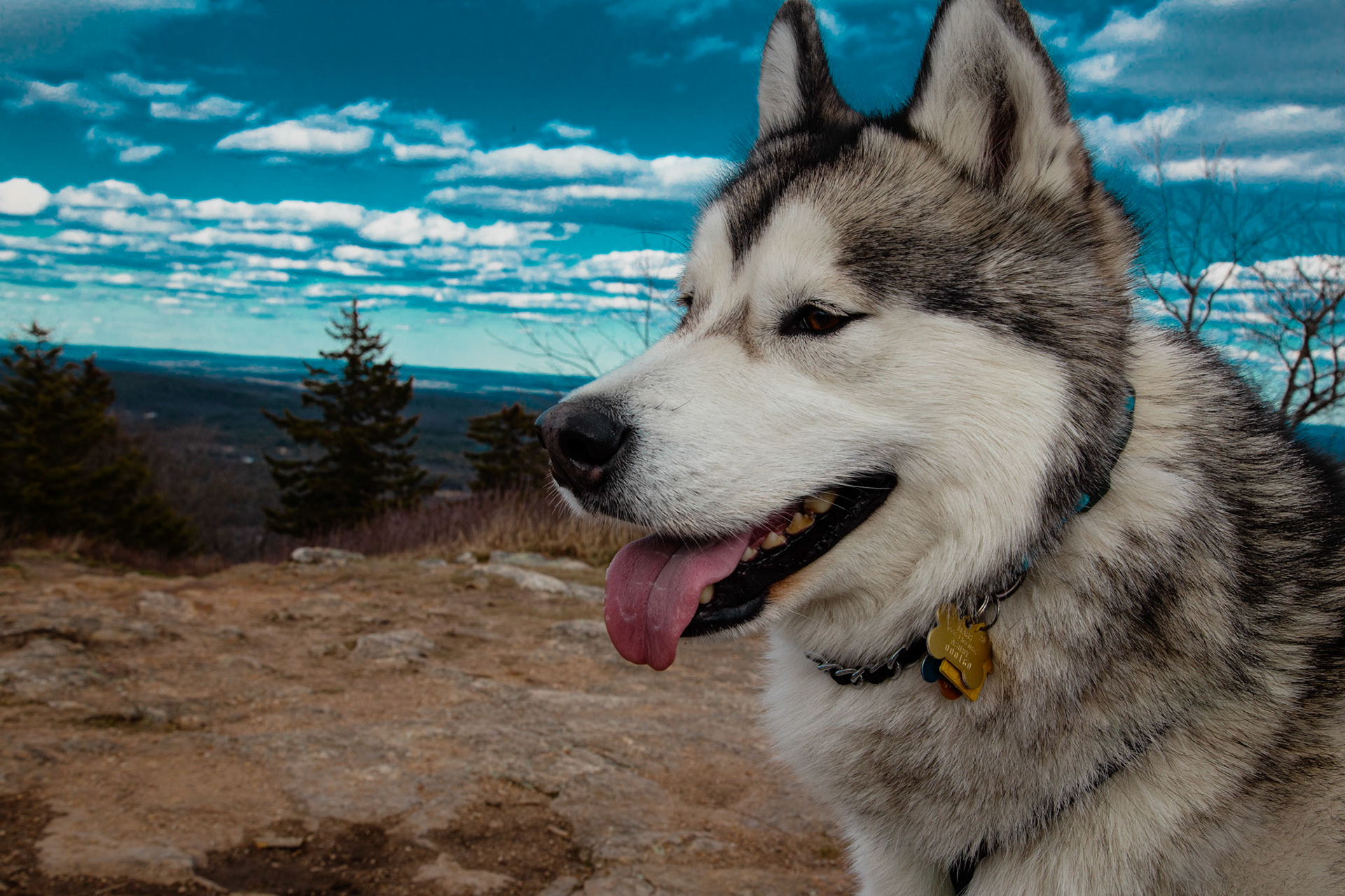 4/11/2020 ~ Mount Watatic