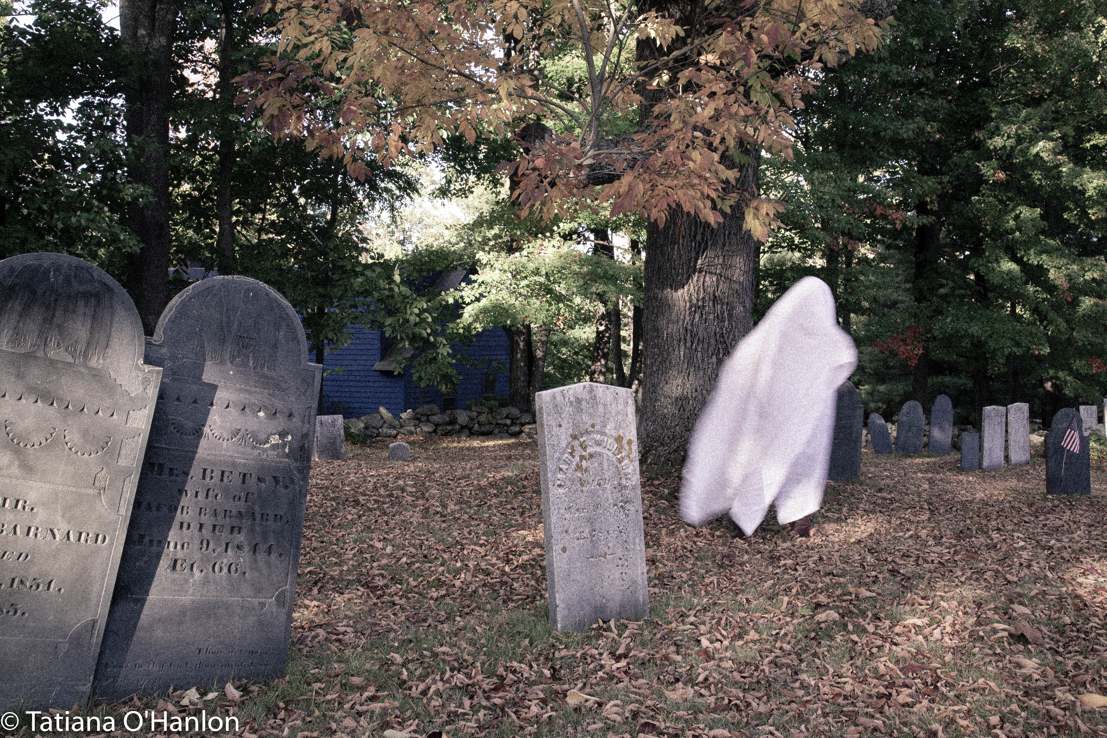 "Found" still life project for school