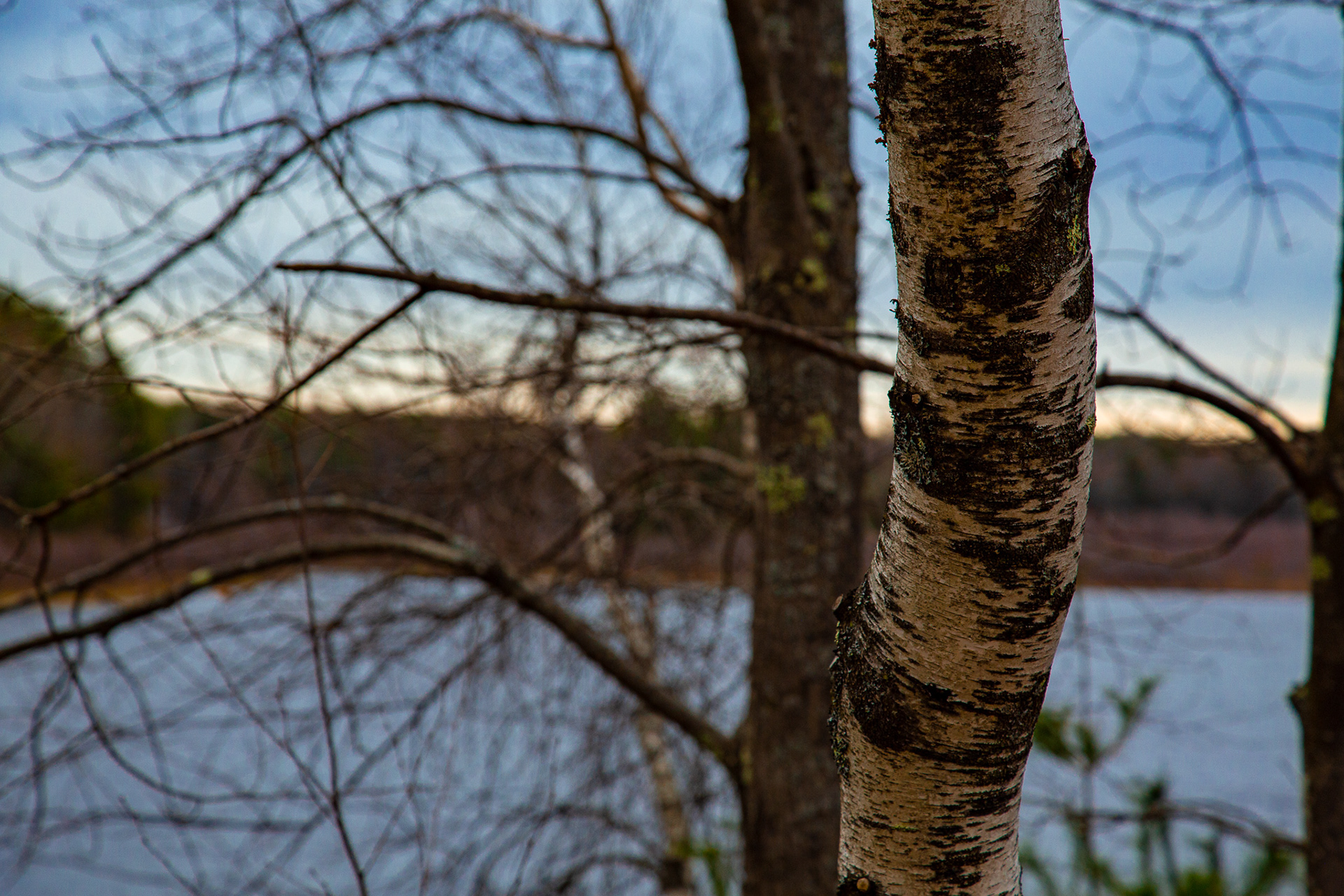 4/29/2020 ~ Winchendon, MA