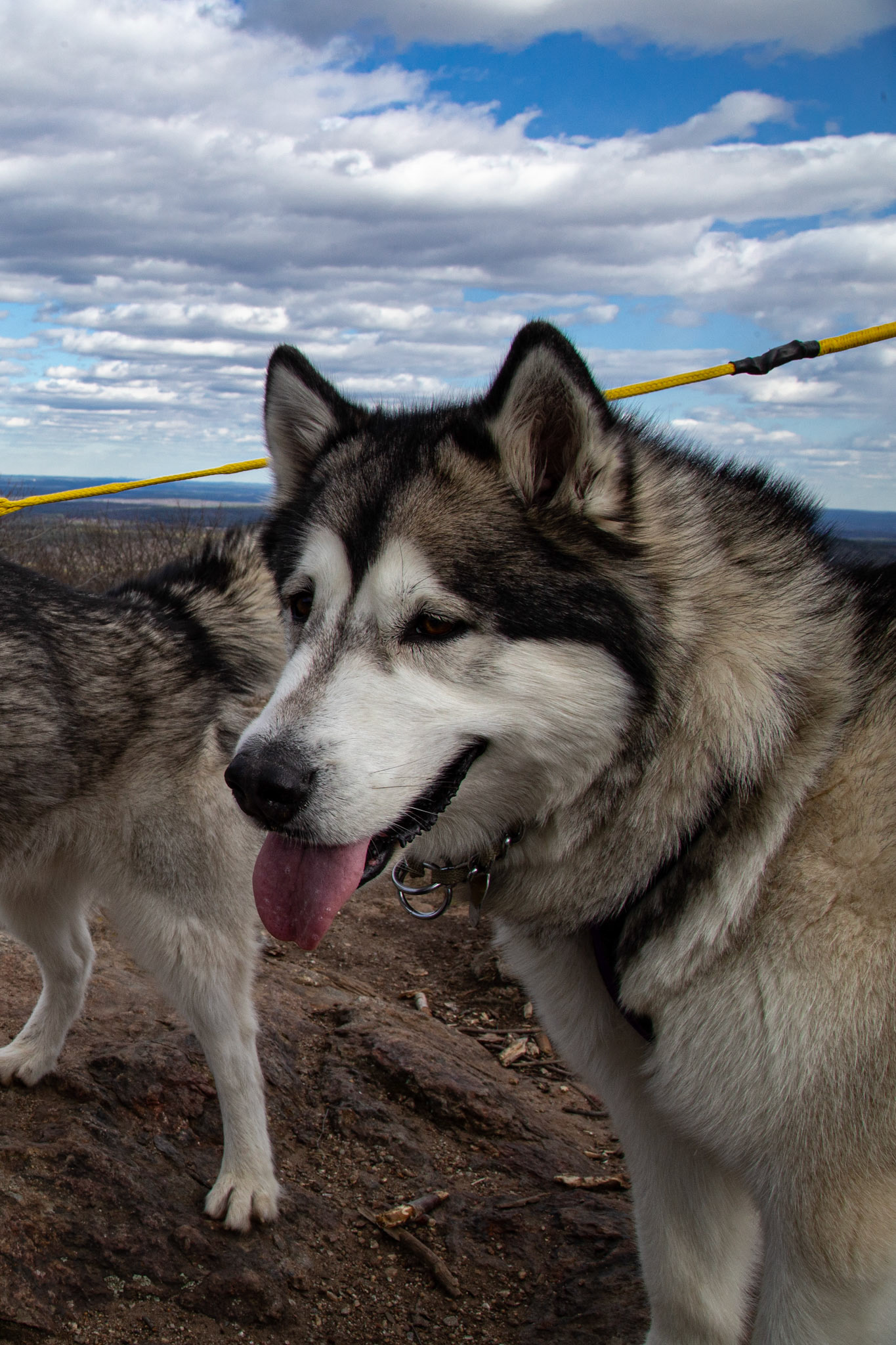 4/11/2020 ~ Mount Watatic