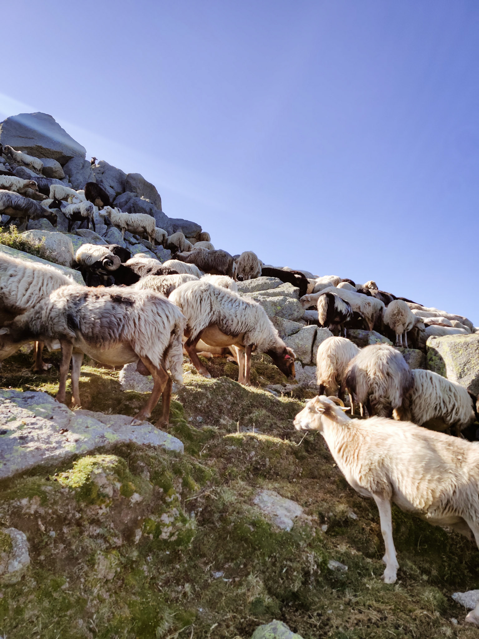 GR 20 - Jour 7 : Prati - Matalza