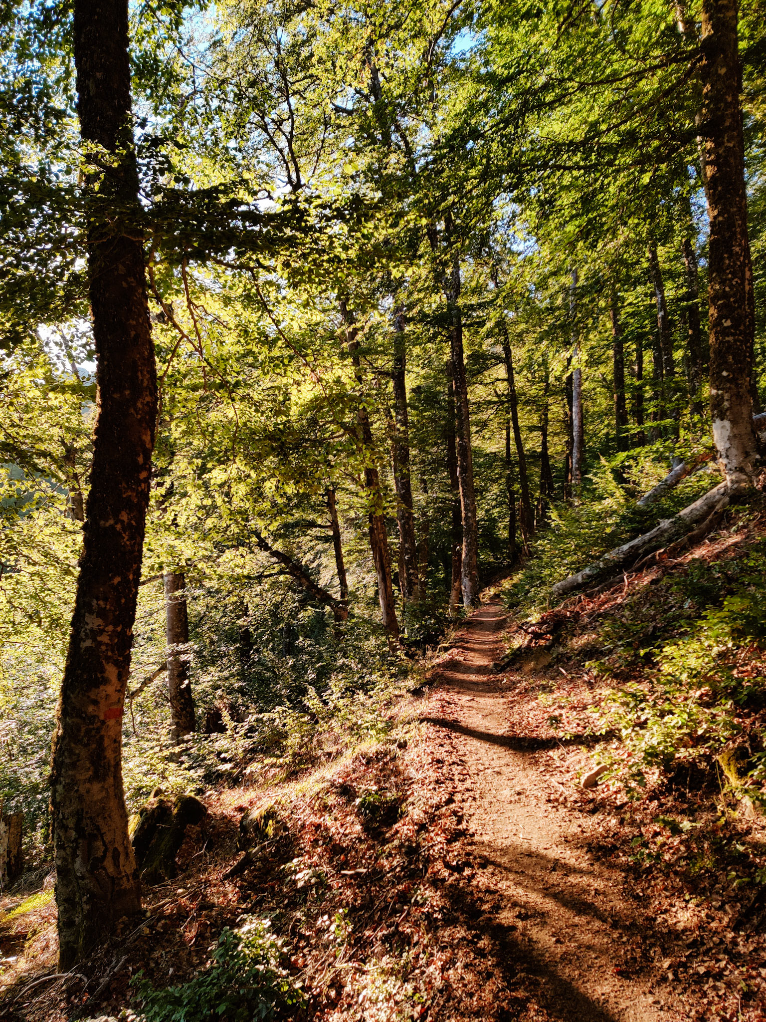 GR 20 - Jour 6 : Vizzavona - Prati