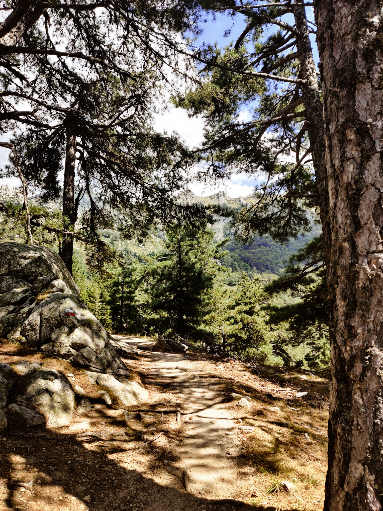 GR 20 - Jour 6 : Vizzavona - Prati