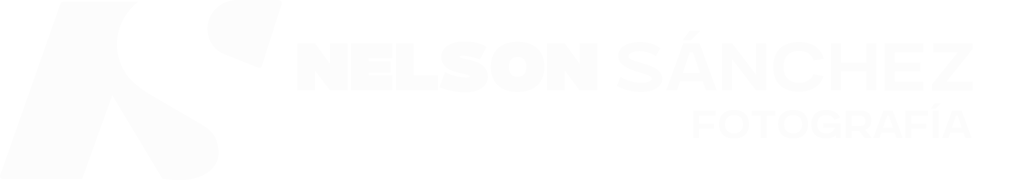 nelson sanchez
