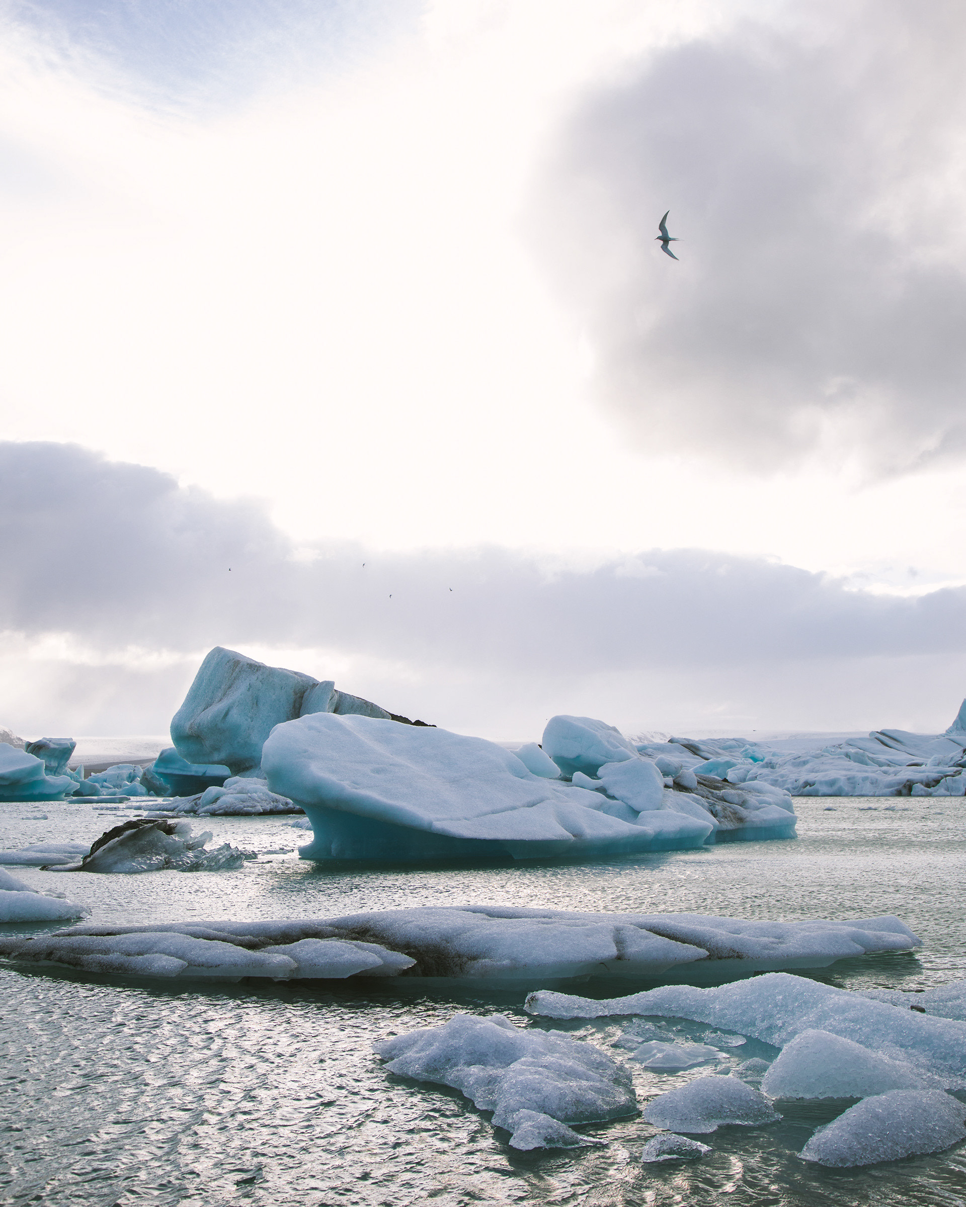 Jökulsárlón, Iceland