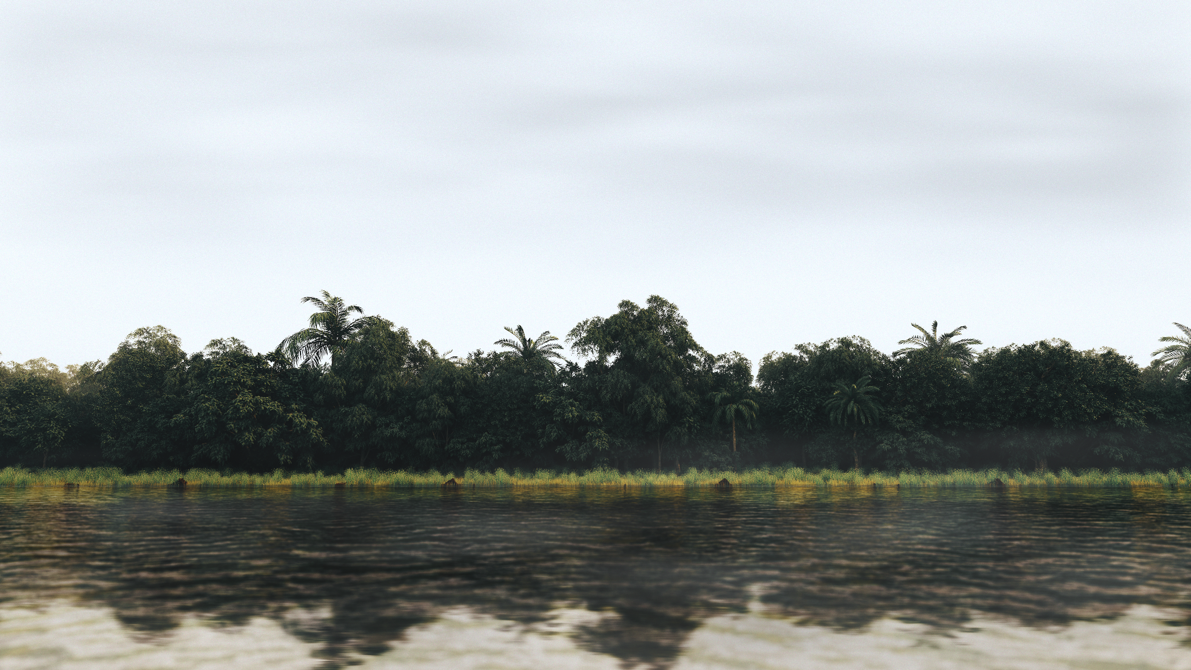 LAKE FOREST