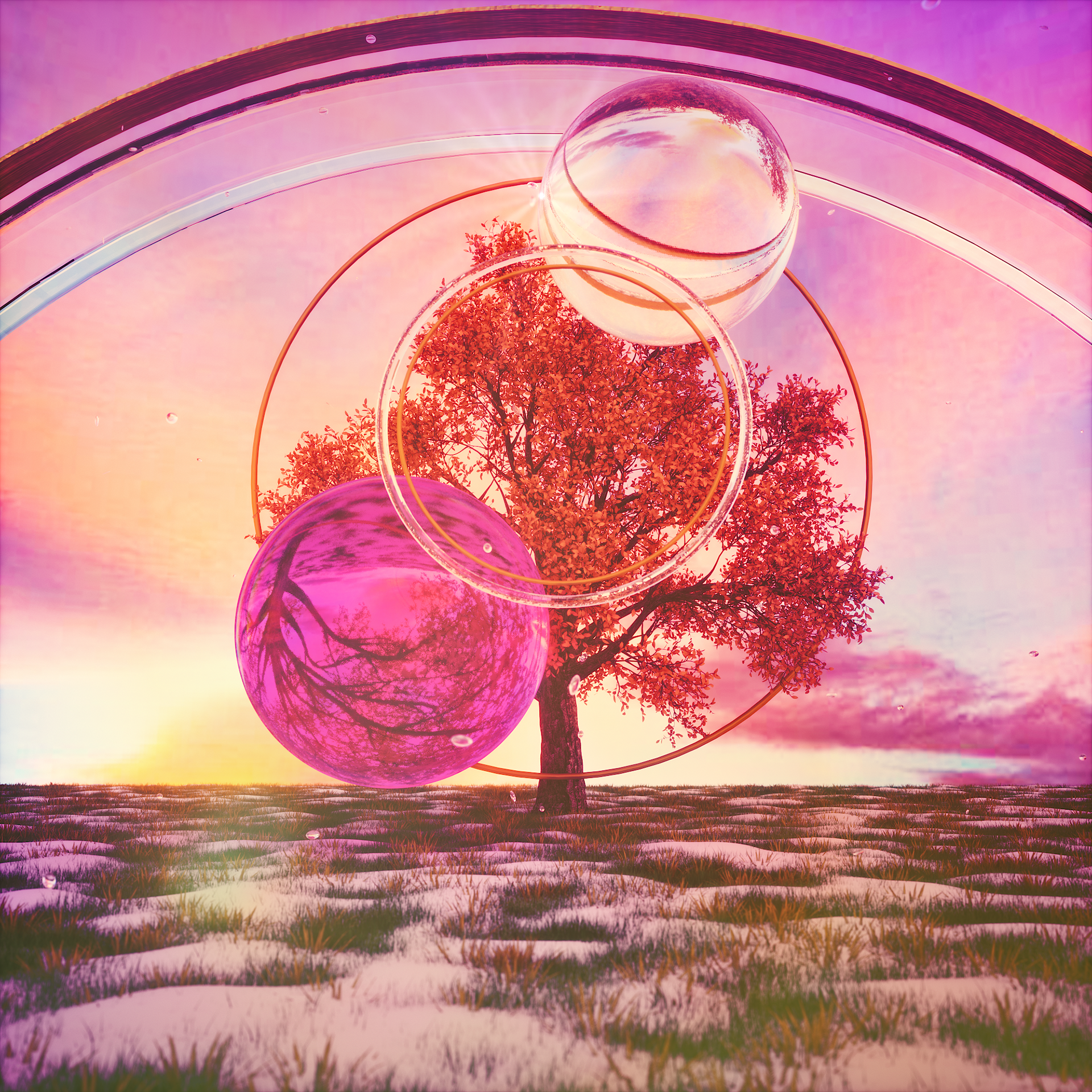 ORGANIC MIRROR