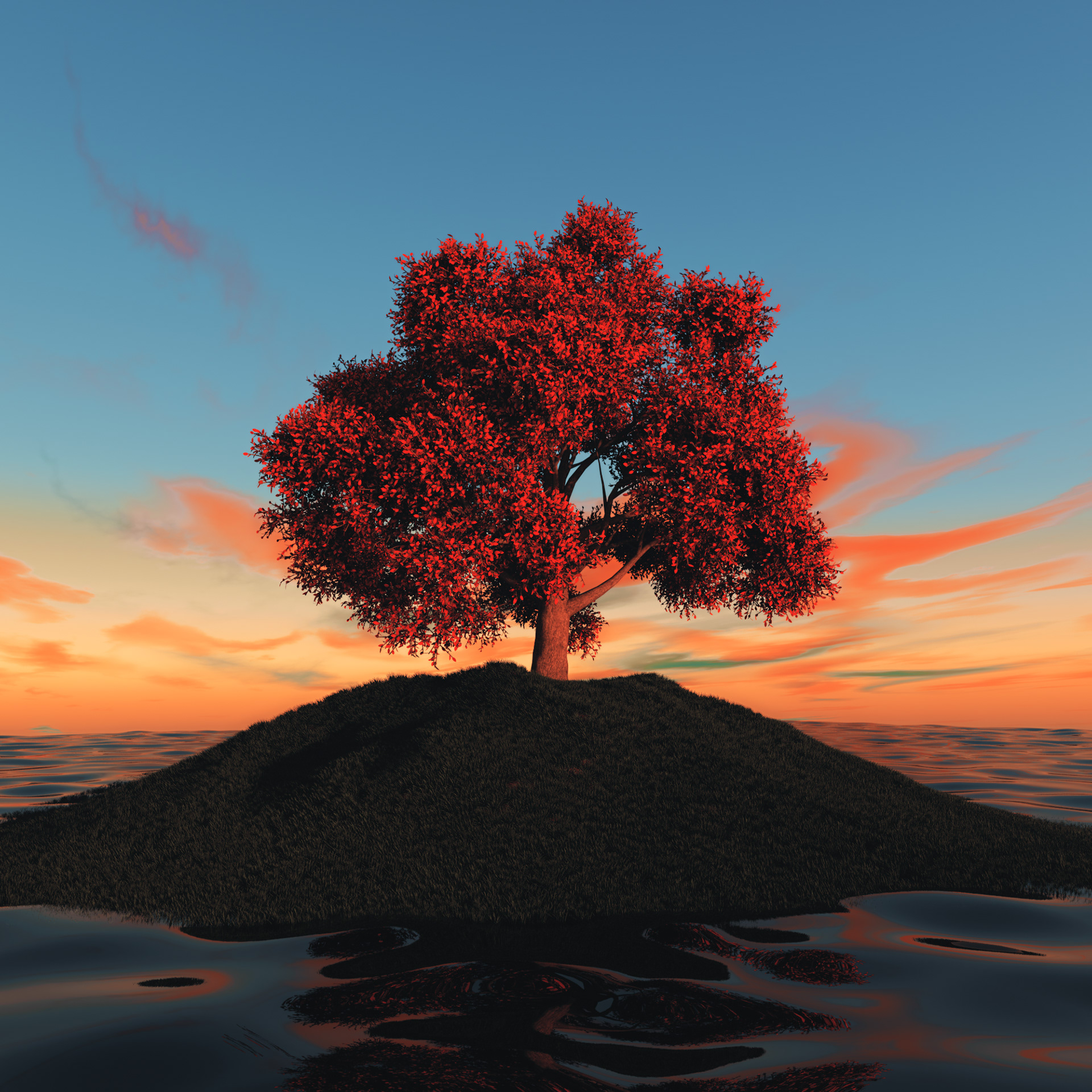 LOST TREE
