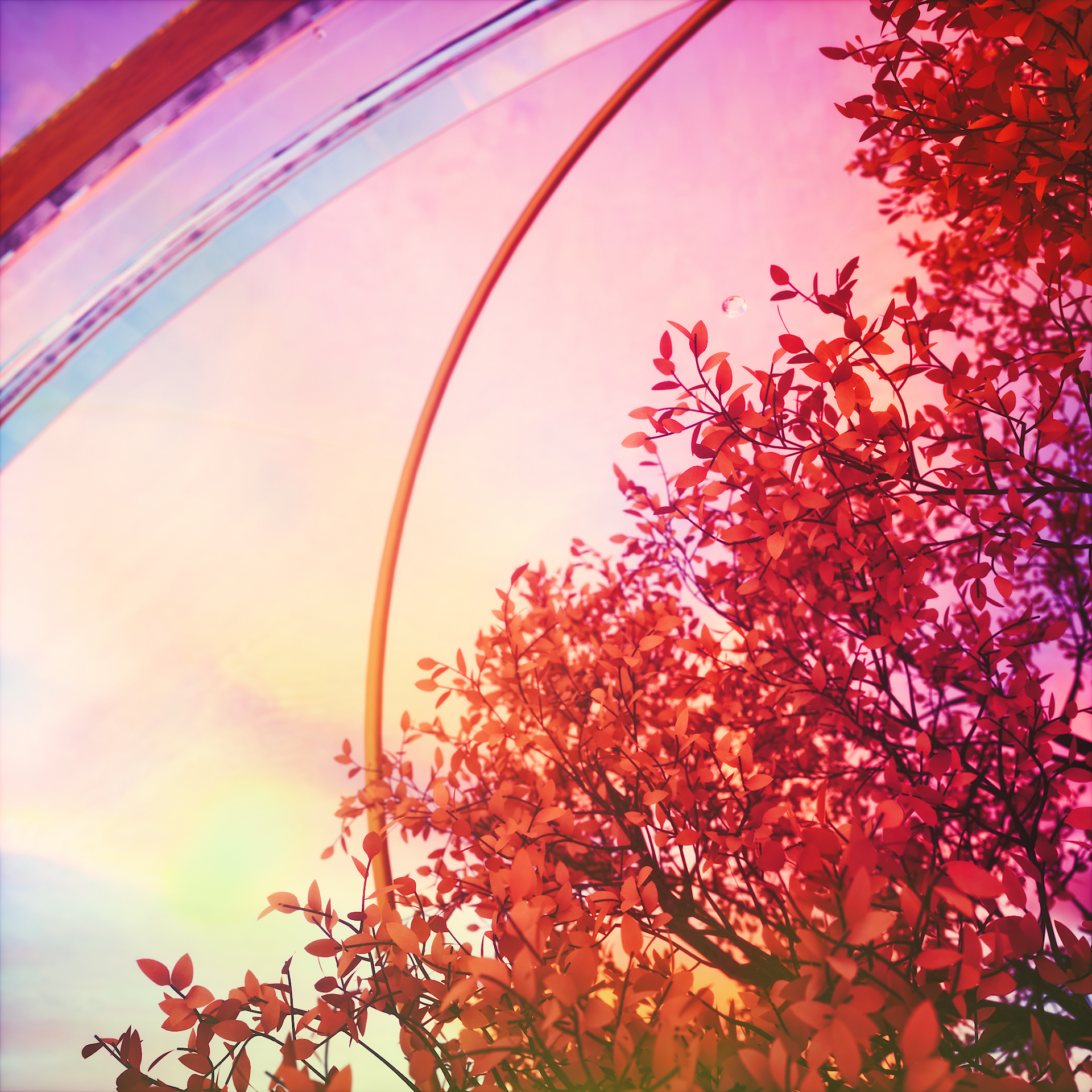 ORGANIC MIRROR