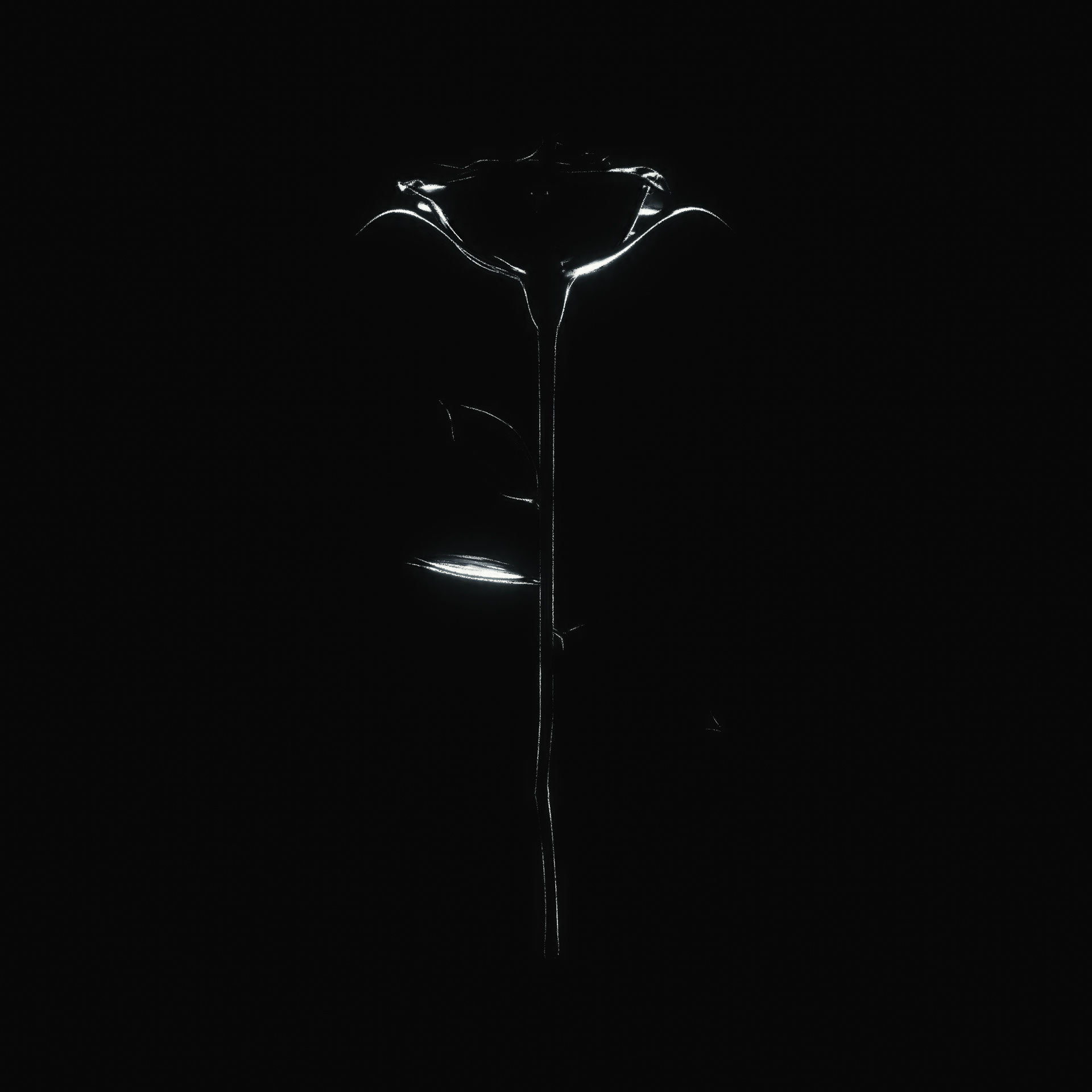NEON ROSE