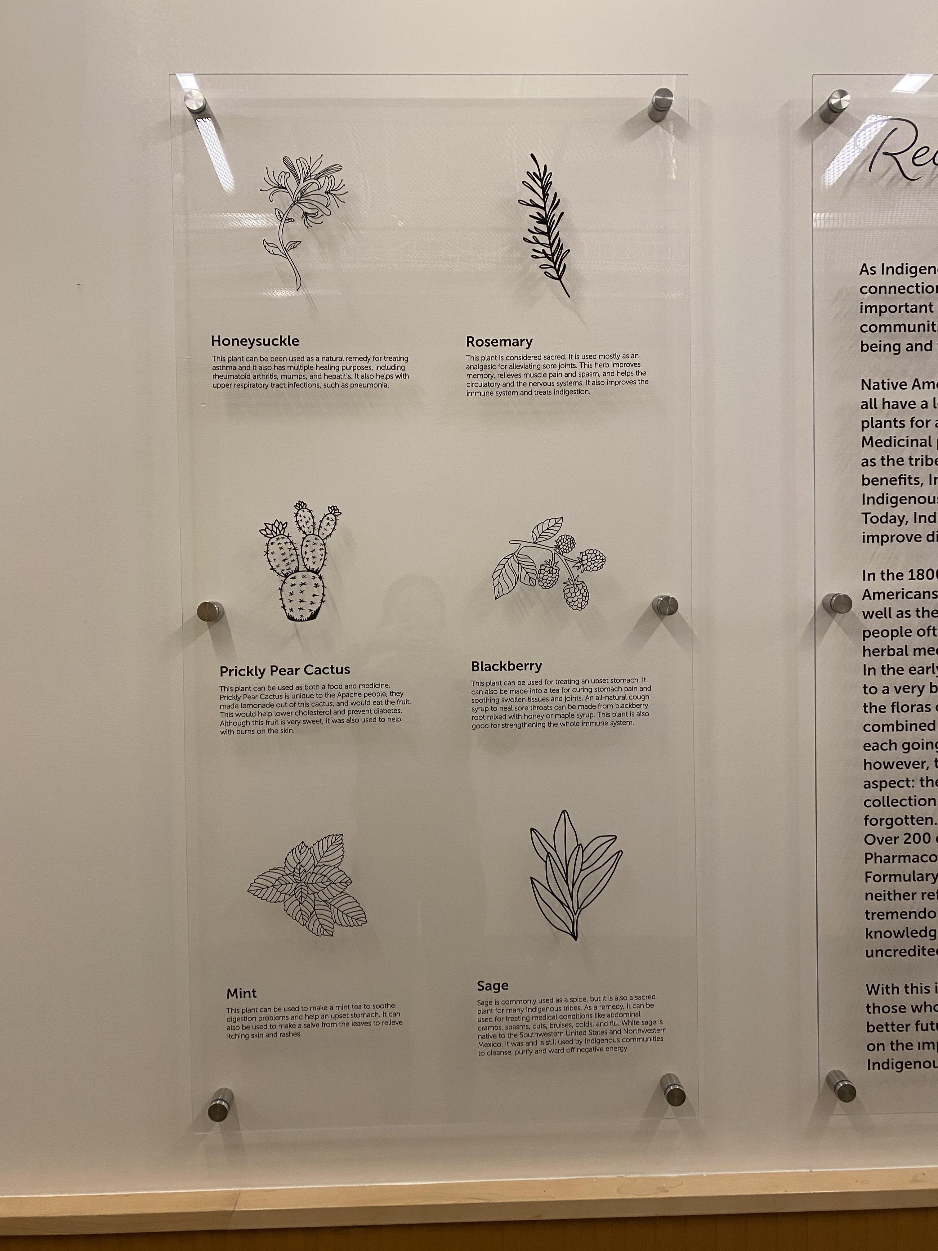 Reclaiming Roots - Indigenous International Green Architecture Project - 2021 - Fort Lewis College