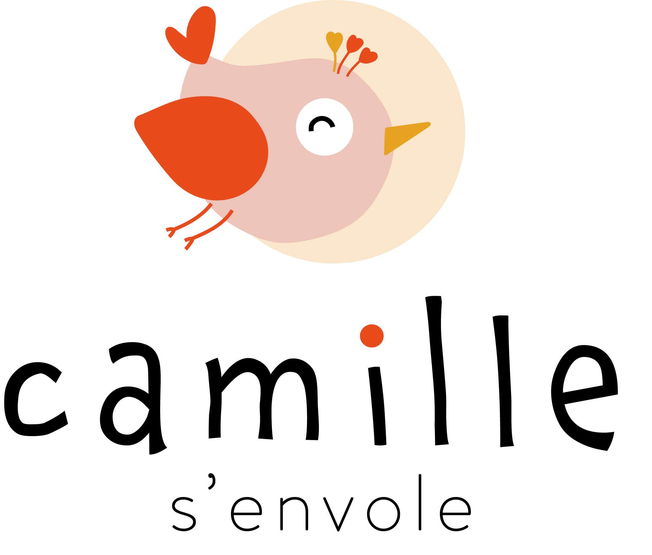 camille s'envole