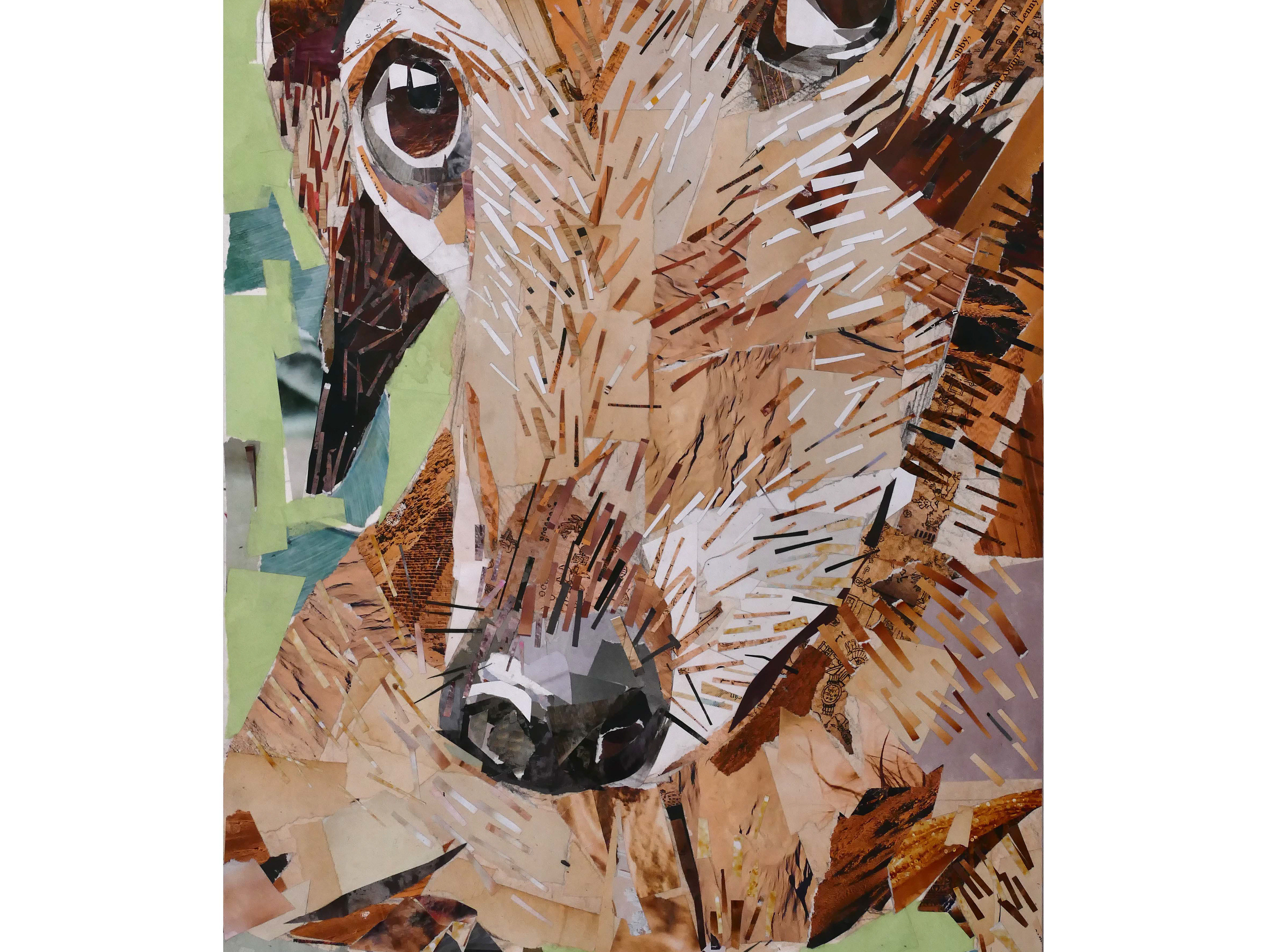 Torn Paper Pet Collage