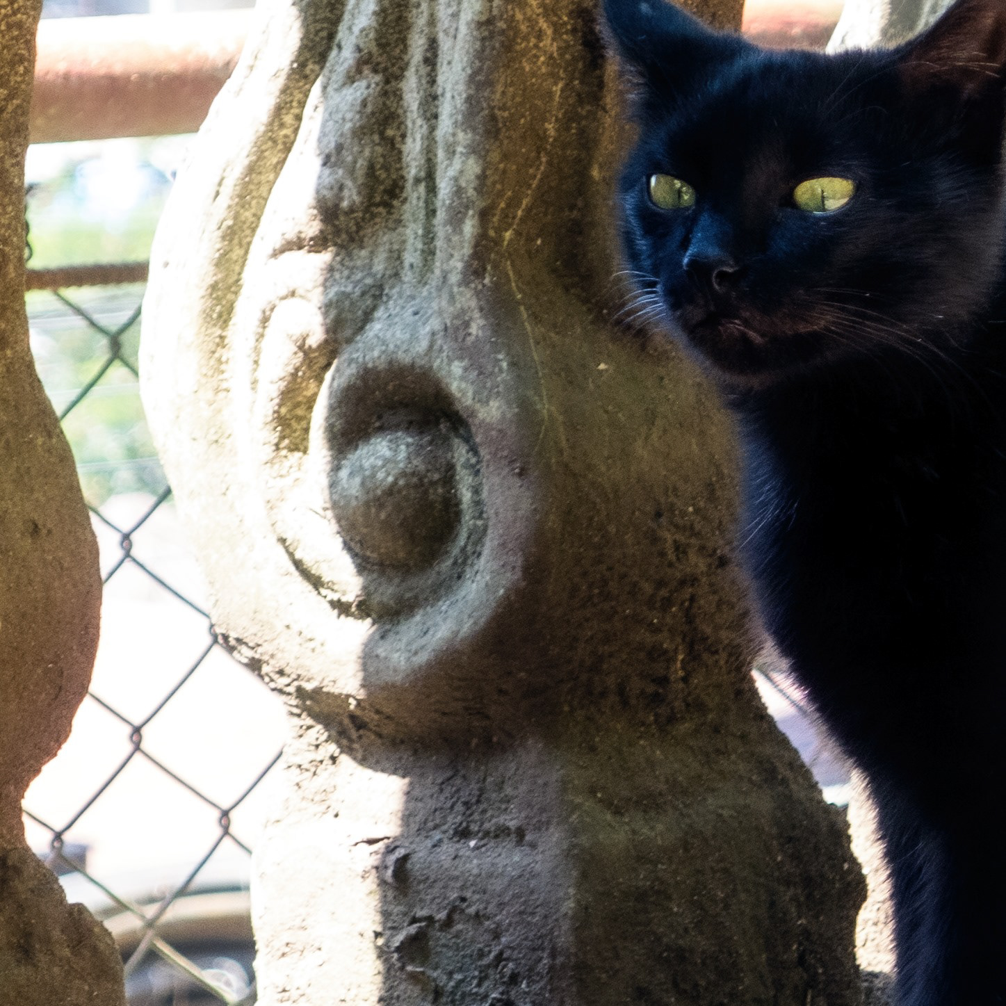 May binabalak. Lumix LX5.