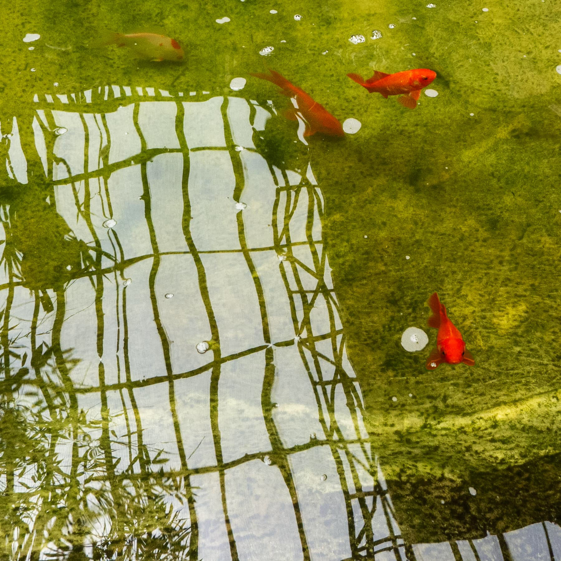 I see you. Lumix LX5. 