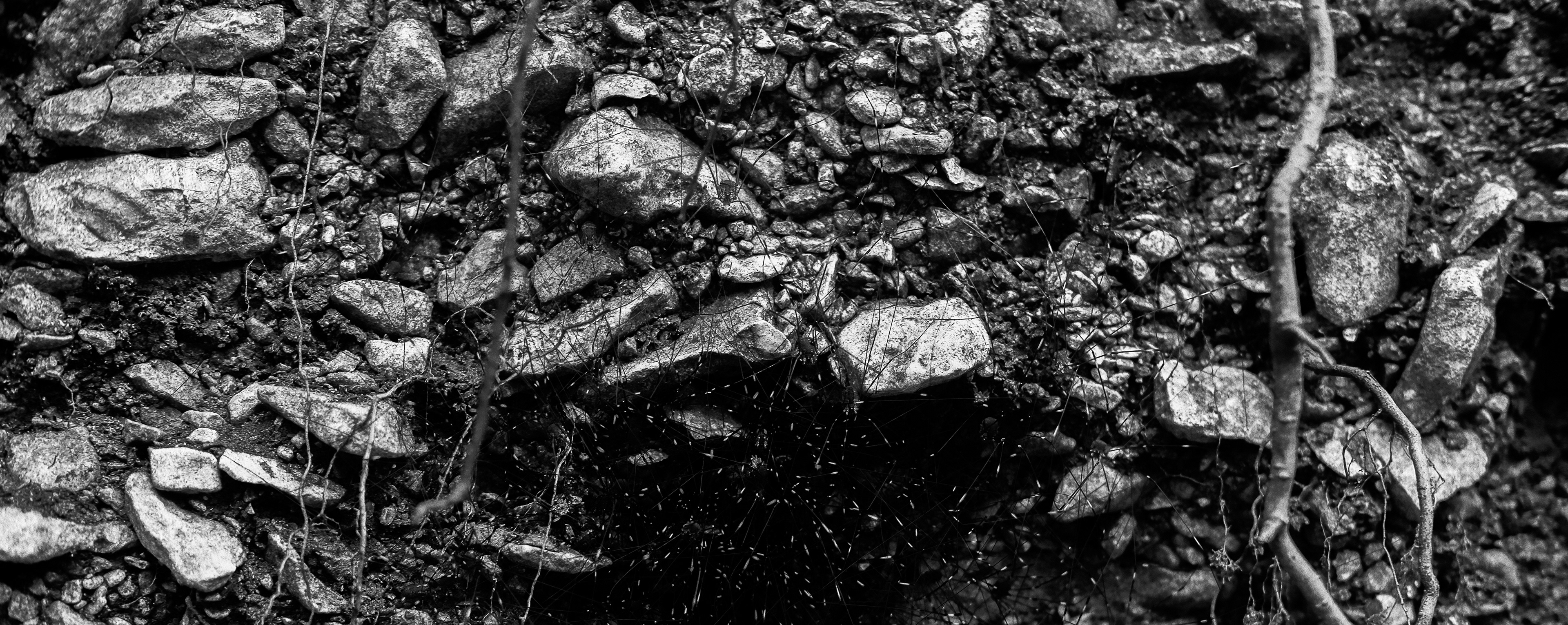 Spiders and earth. B&W digital photo.