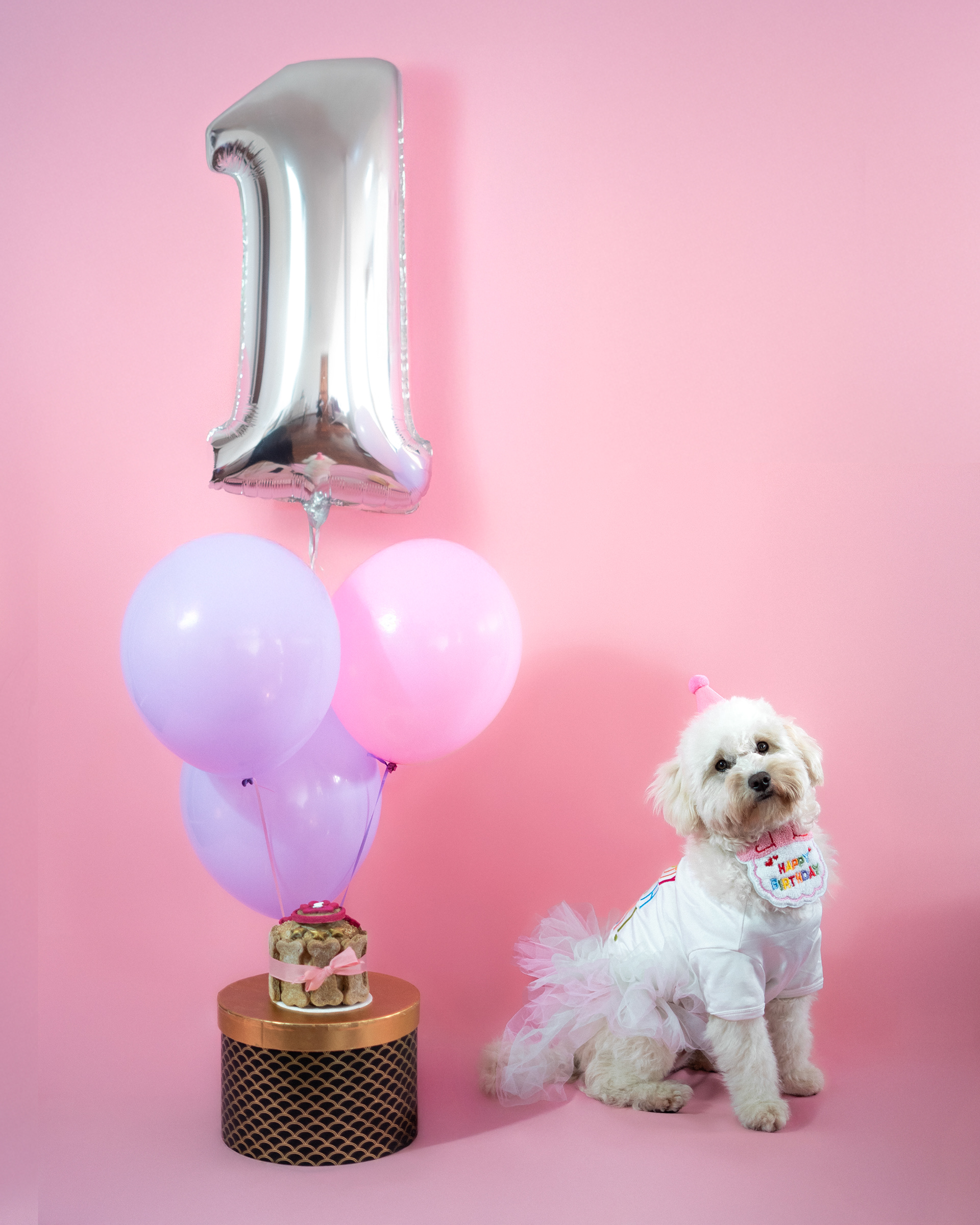 Taylor - Set de cumpleaños