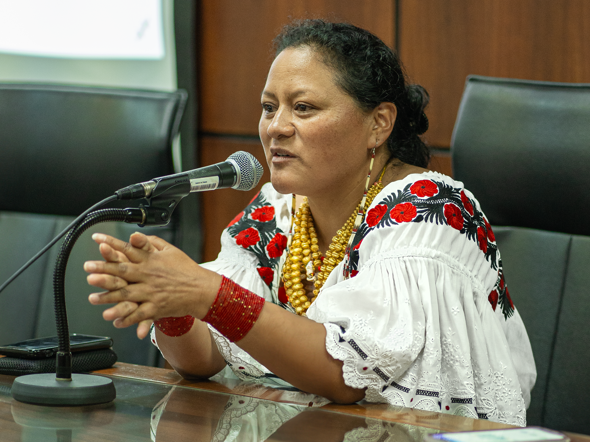 Mesa de diálogo con Ana Cachimuel