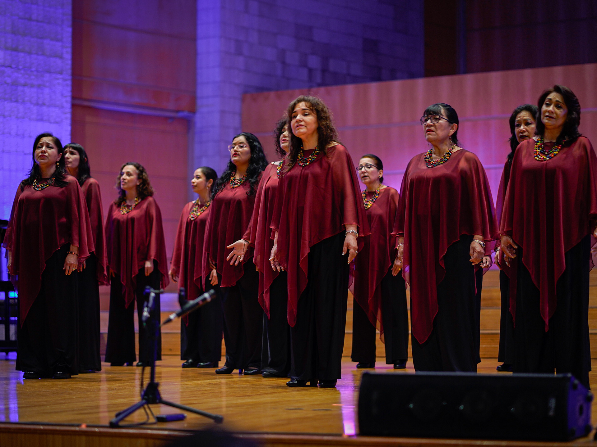 Ensamble Voz de Luna