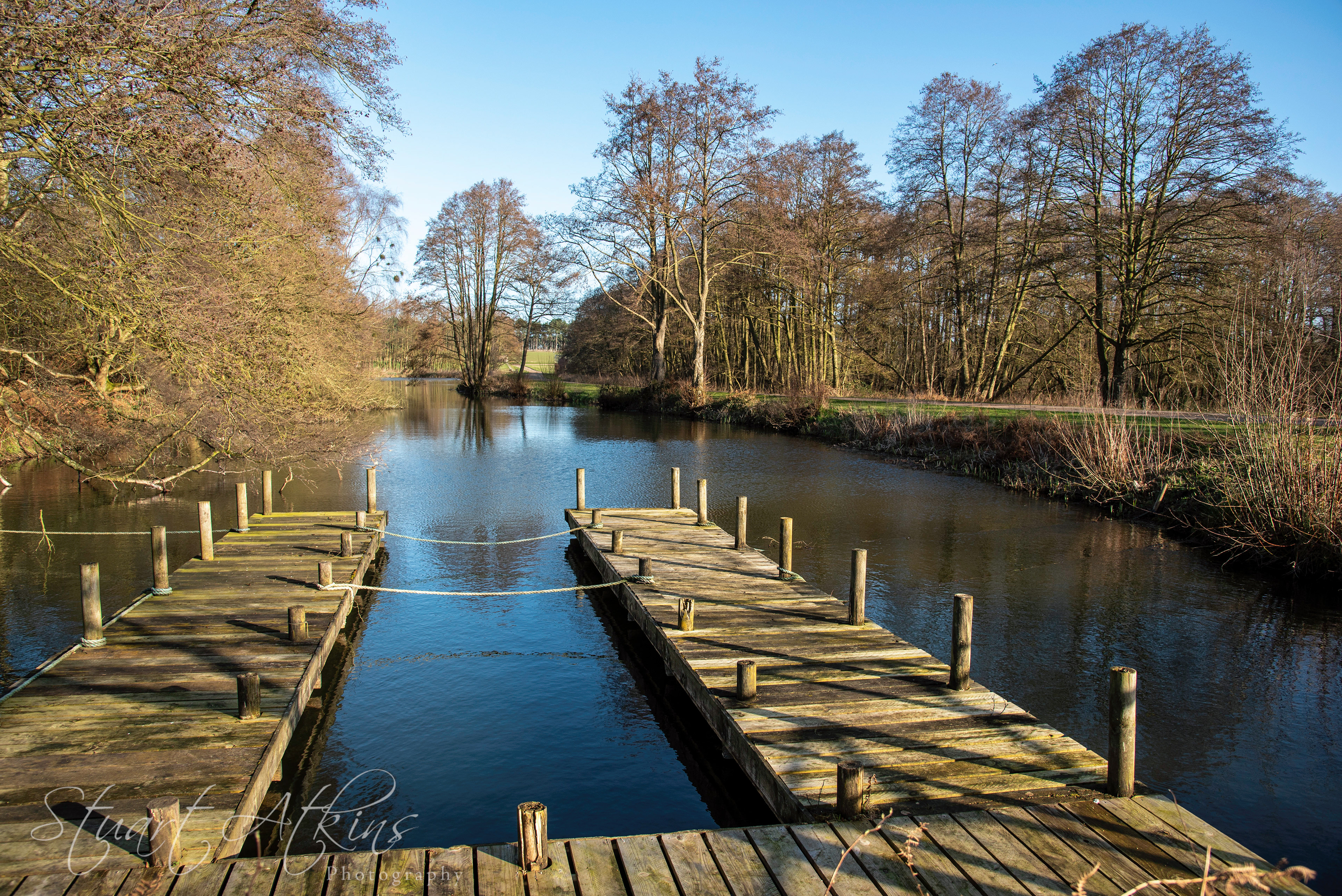 Staverton Thicks