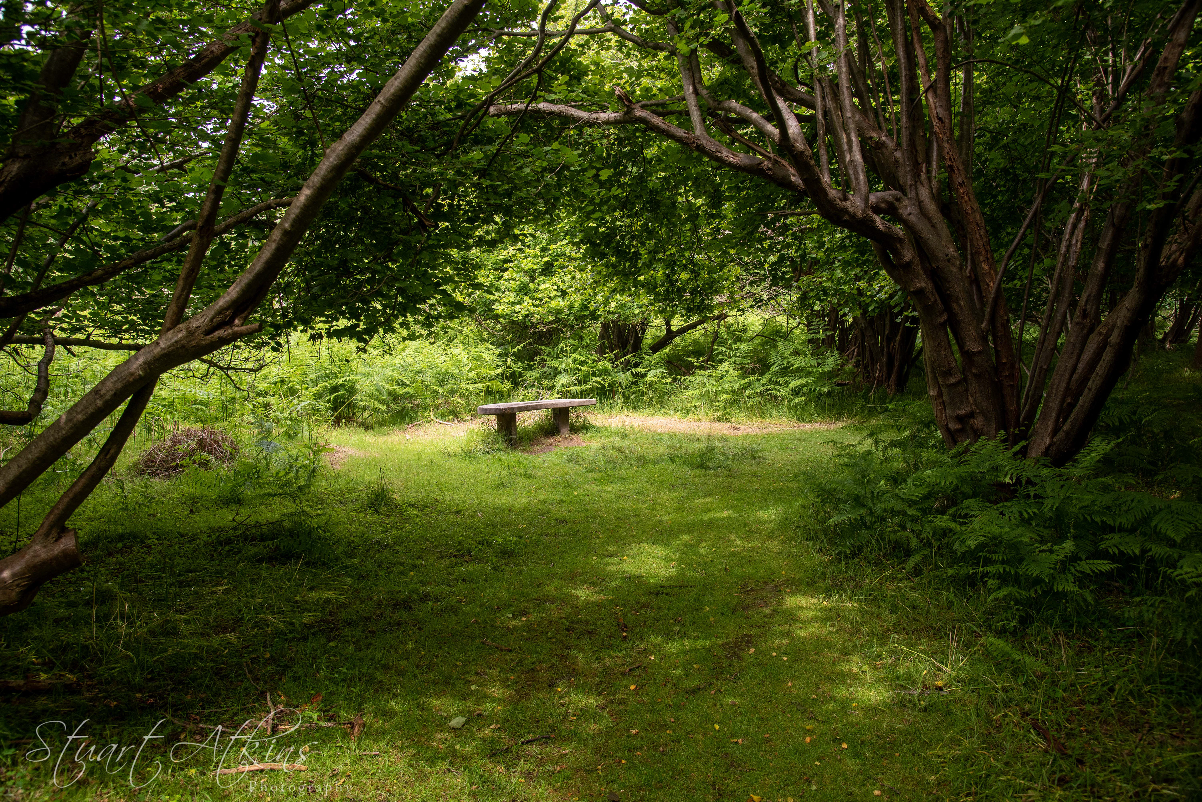 Captain's Wood, Sudbourne