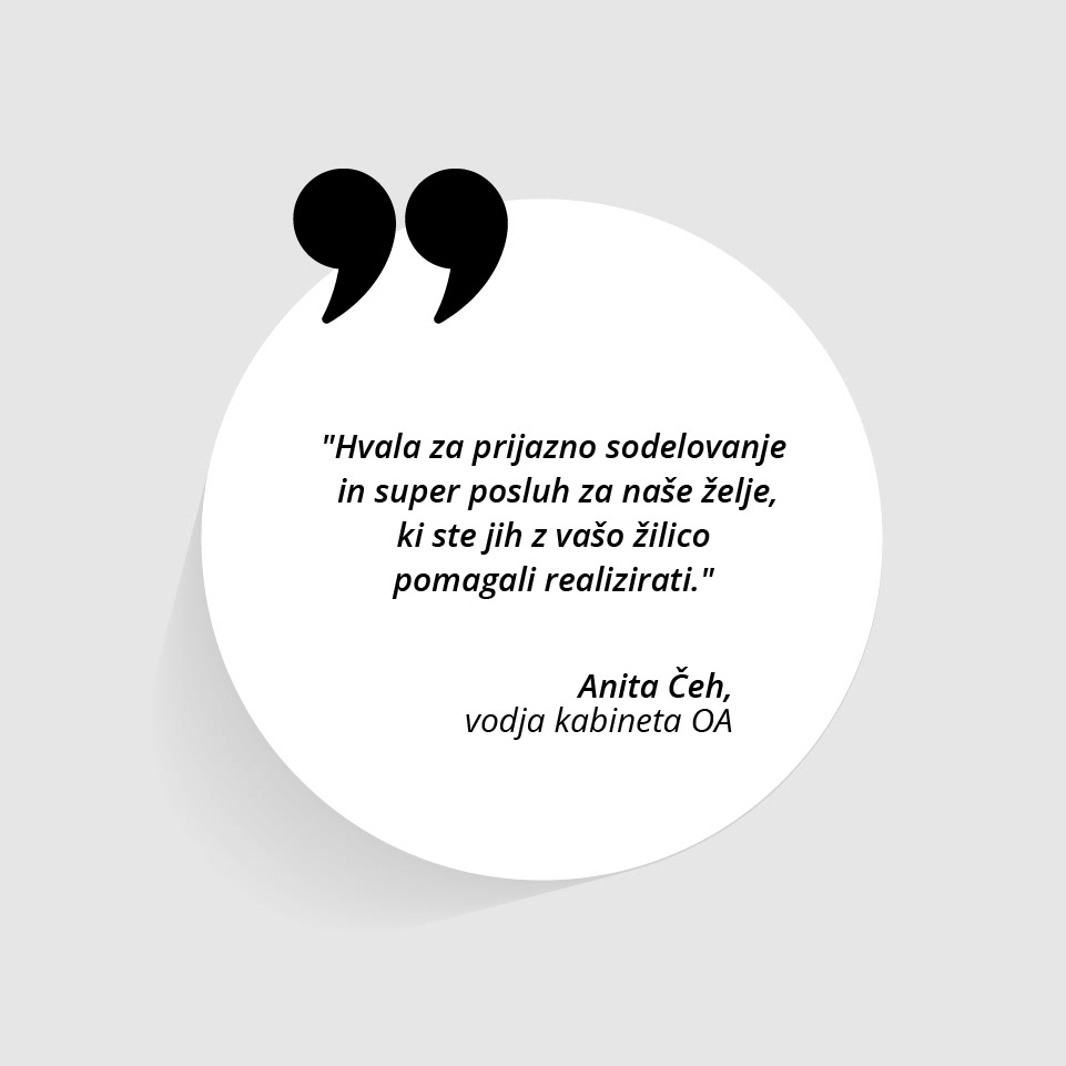 Mnenje_anita_Ceh