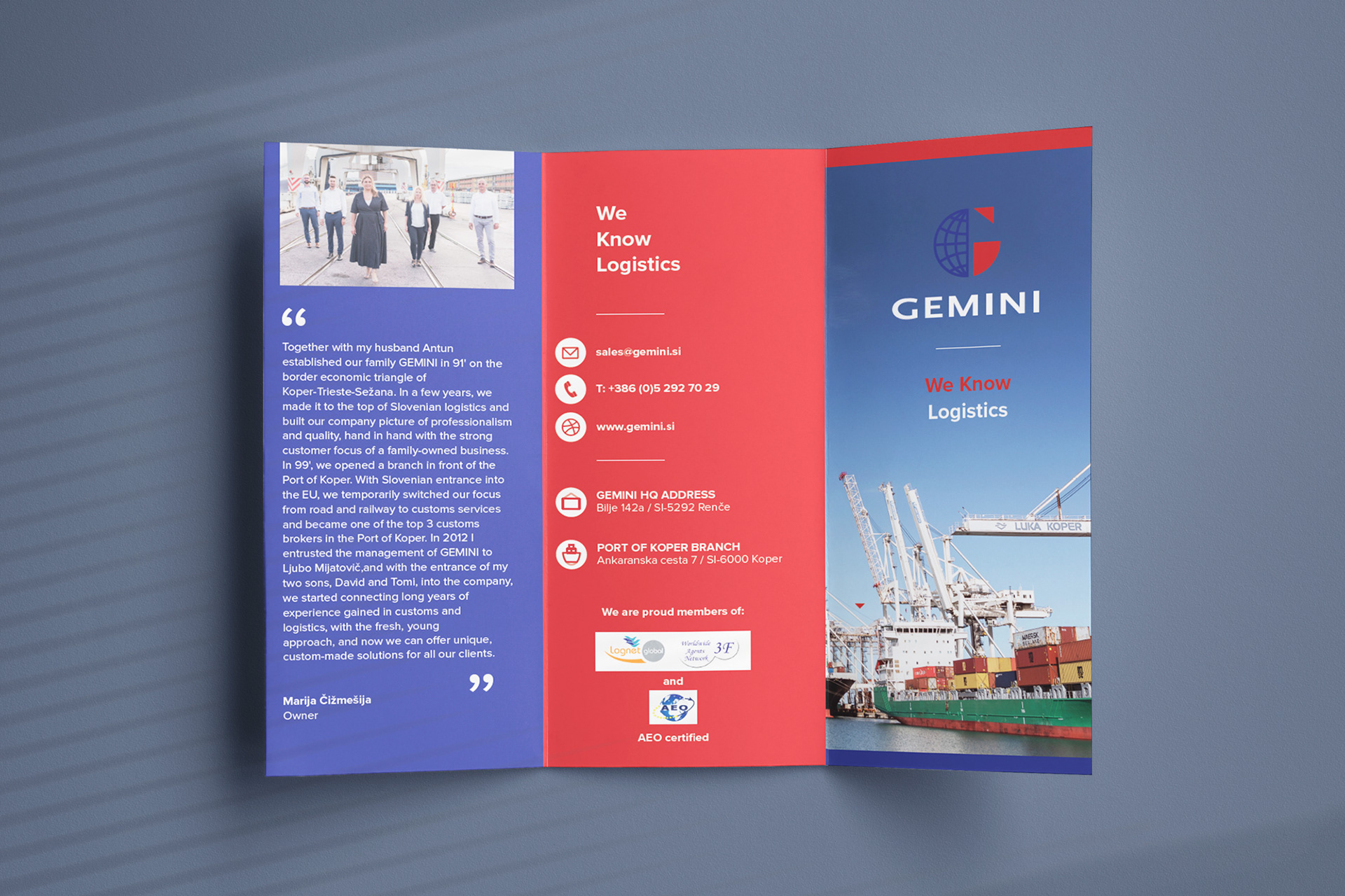 Gemini flyer