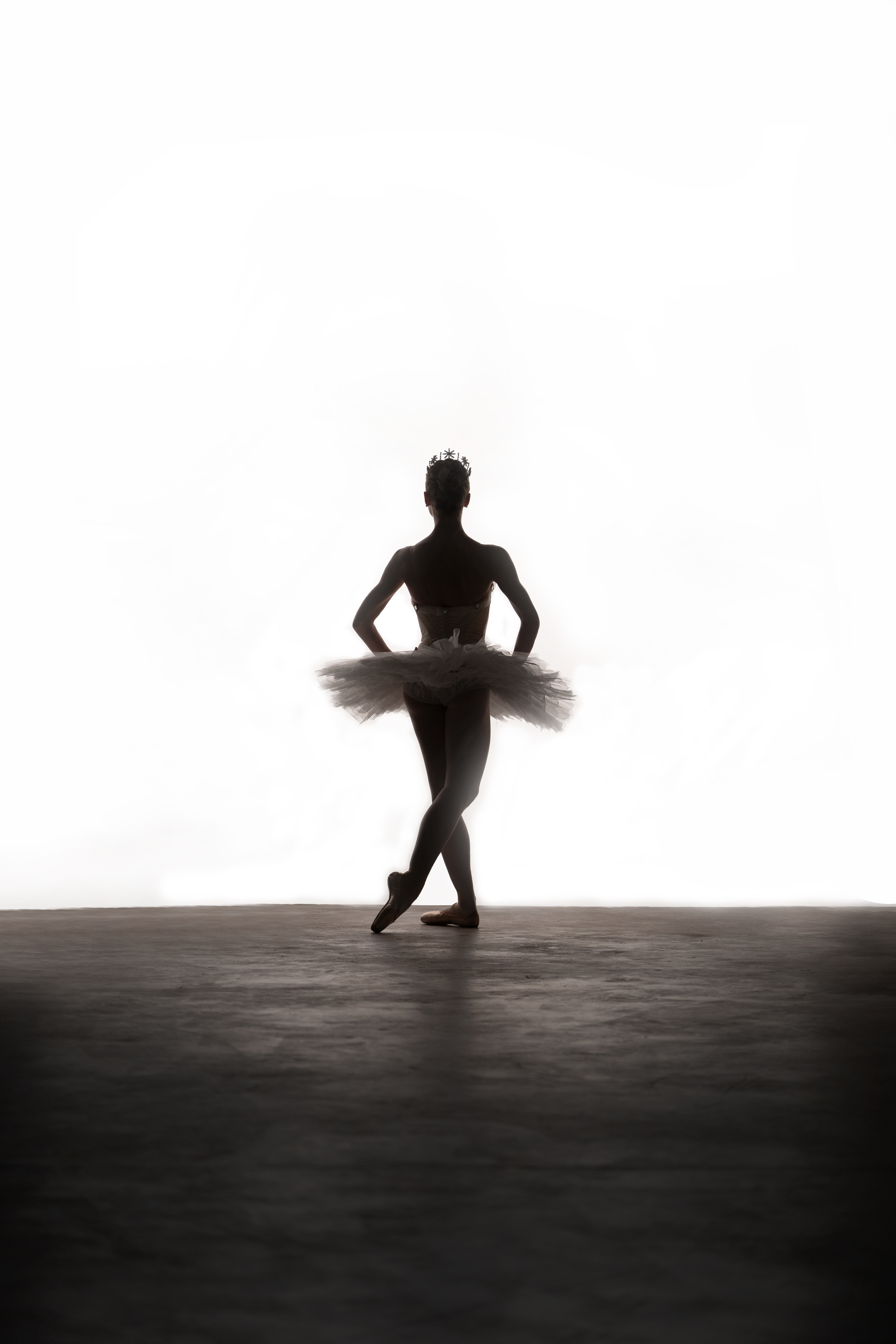 American Ballet Theatre - FA23