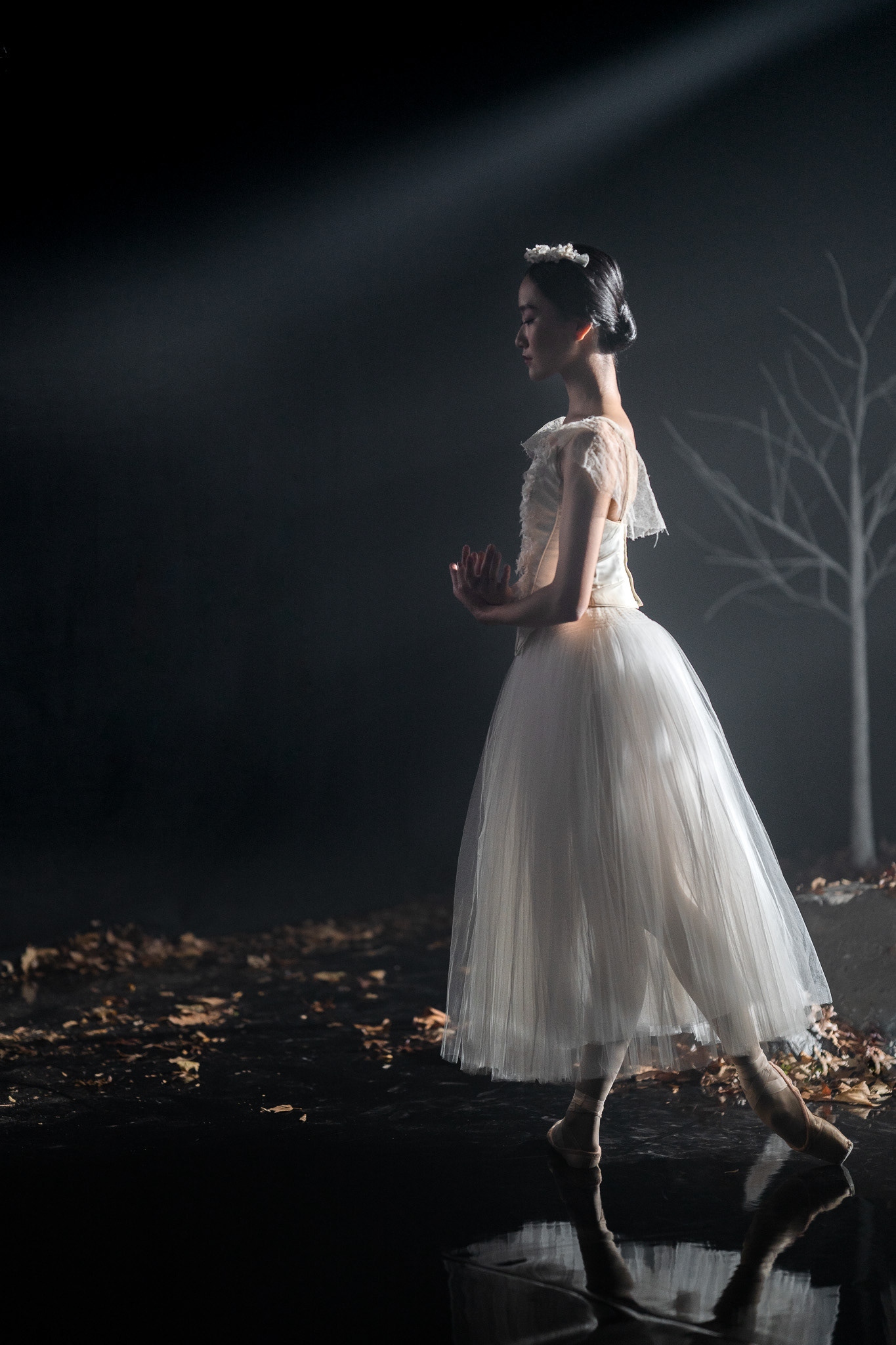 American Ballet Theatre - SU23