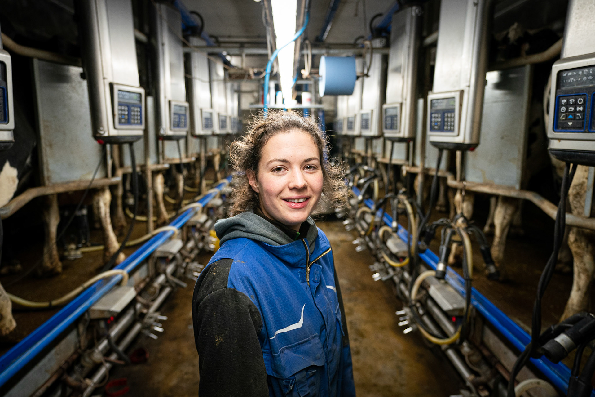 Tynaarlo: Boerin Annemiek Koekoek (van Boer zoekt Vrouw) in de melkstal. JASPAR MOULIJN