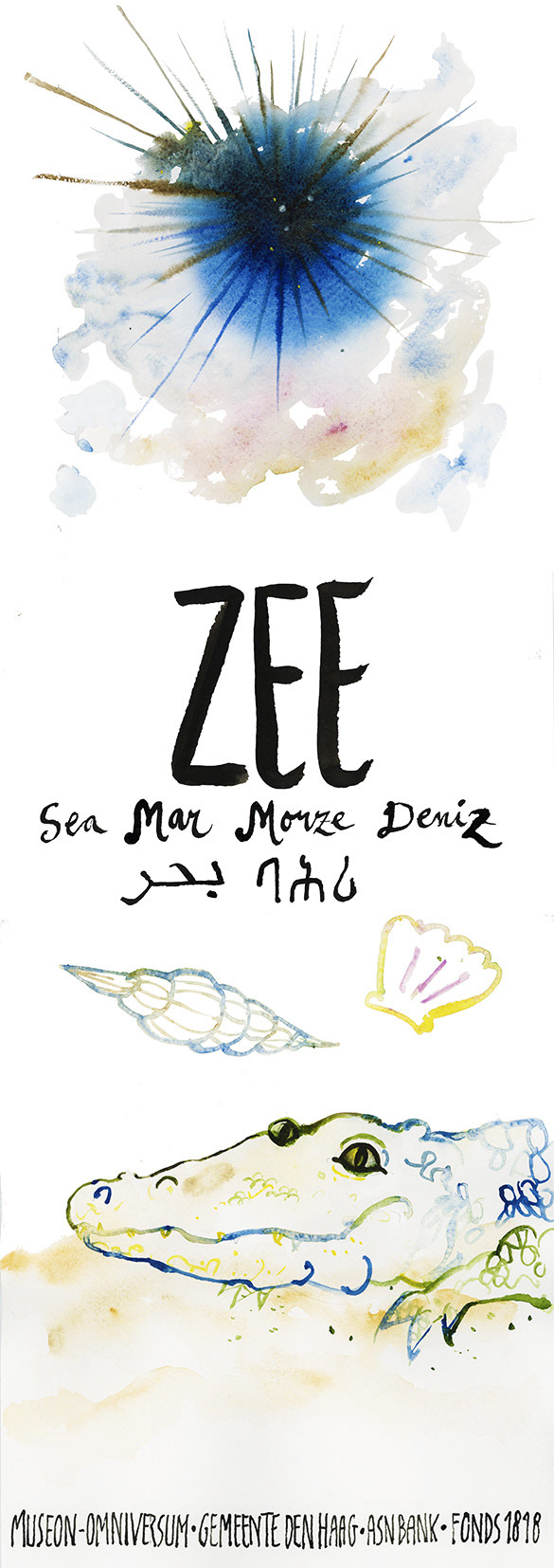 Zee-egel, schelpen en een zeekrokodil in aquarel