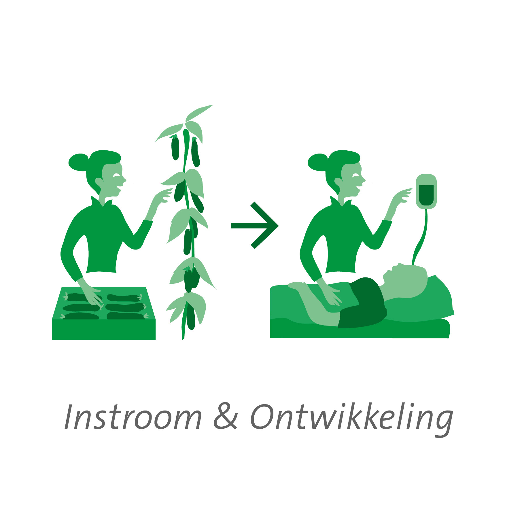 Instroom & Ontwikkeling