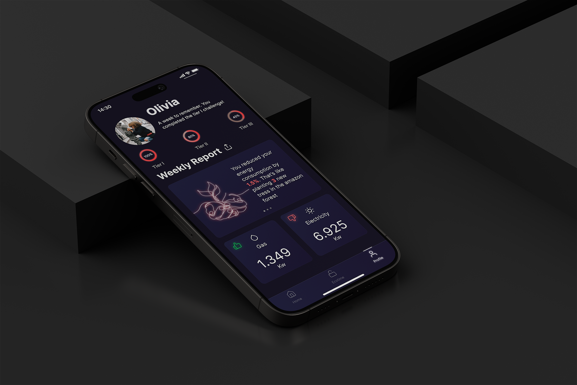 Ecohout Report screen