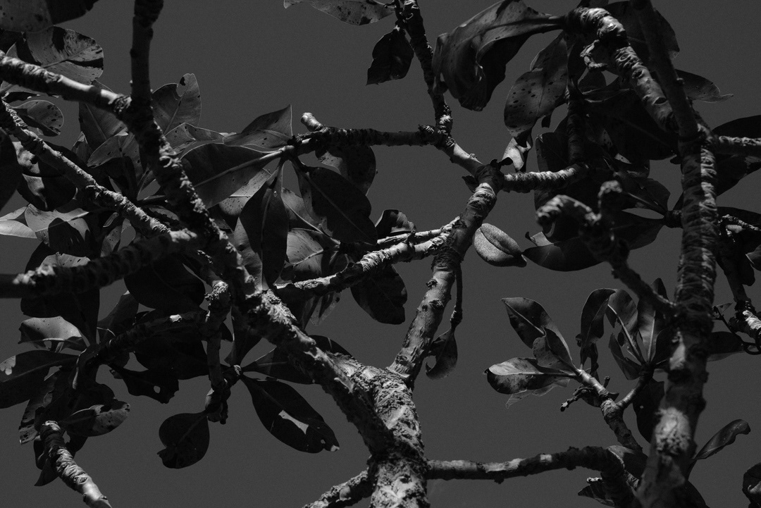 Equidistante © 2025 Leonardo Pavini