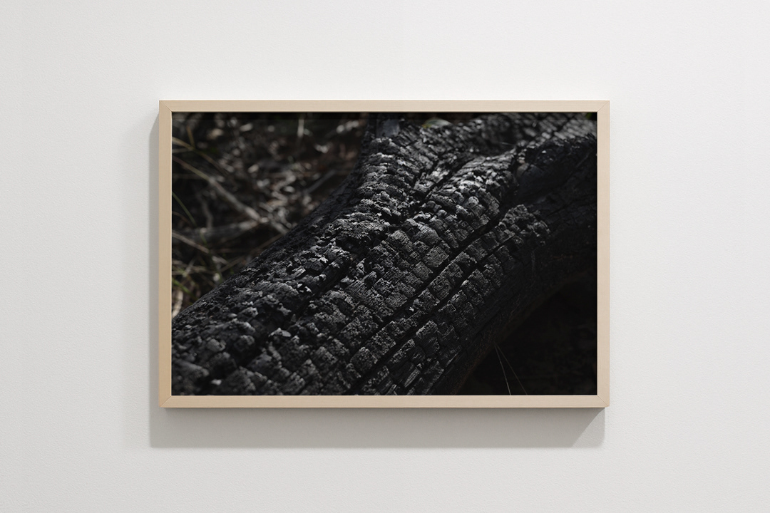 © 2025 Leonardo Pavini