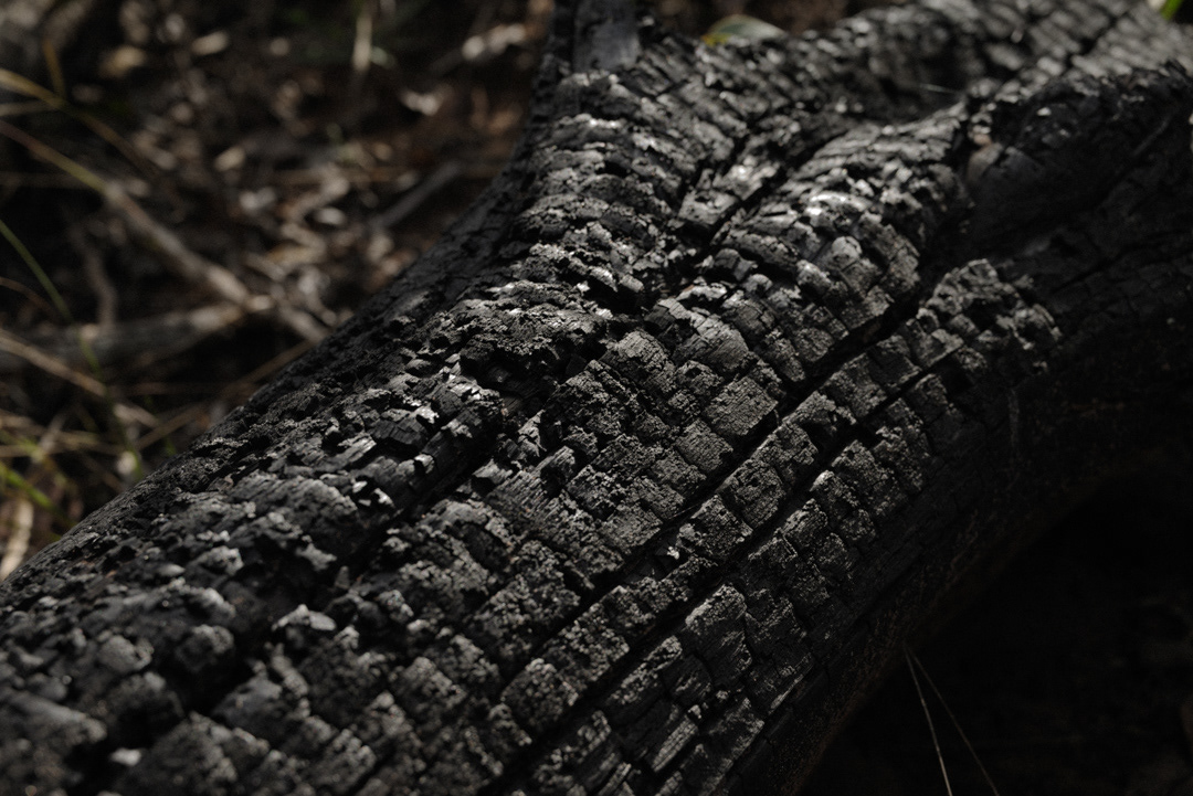 Equidistante © Leonardo Pavini