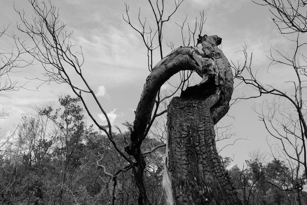 Equidistante © 2025 Leonardo Pavini