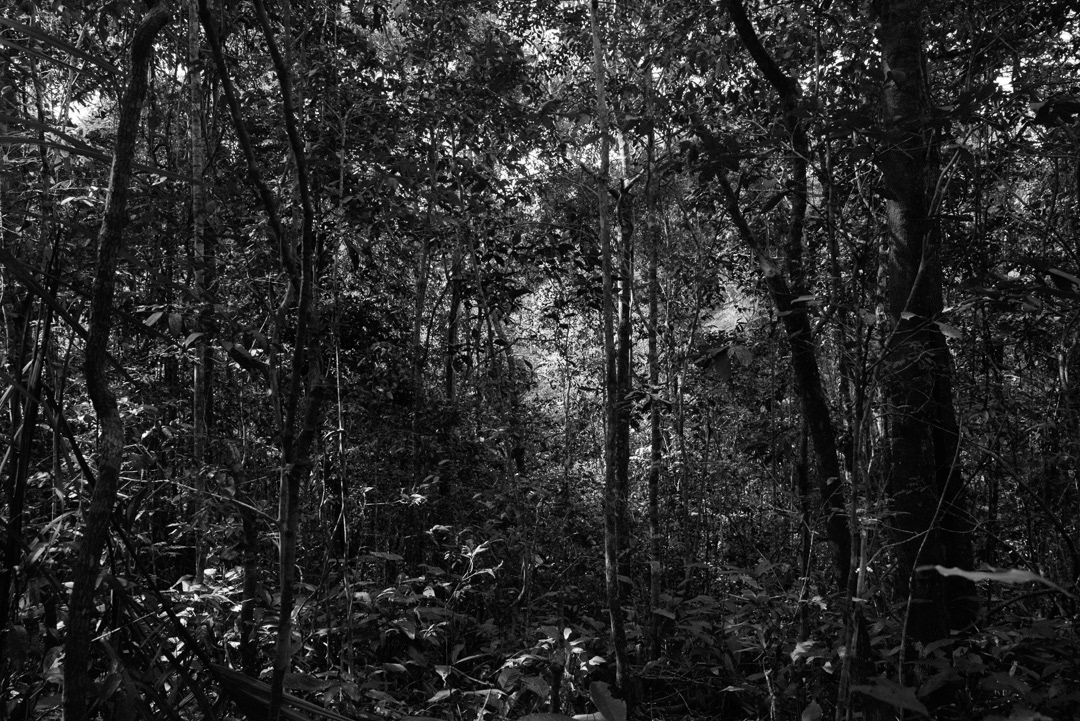 Equidistante © 2025 Leonardo Pavini