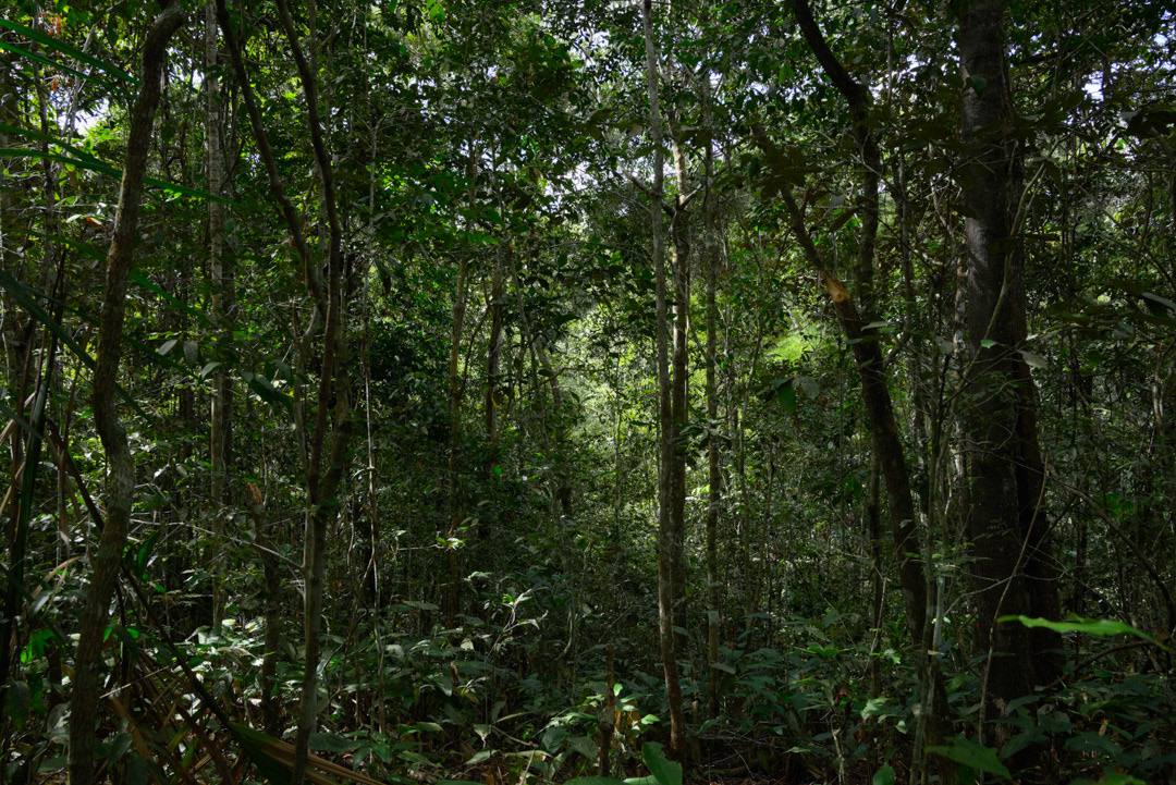 © Leonardo Pavini