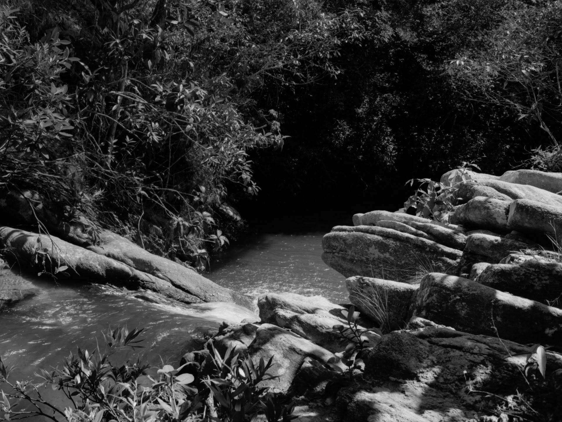 © Leonardo Pavini