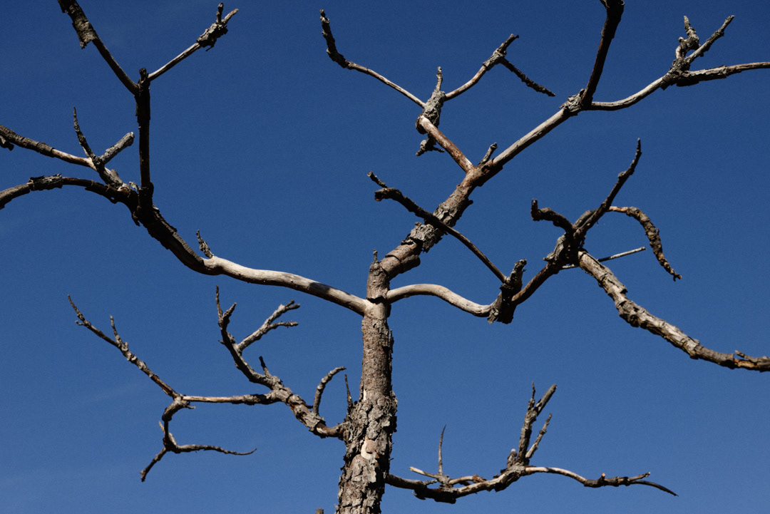 Equidistante © Leonardo Pavini