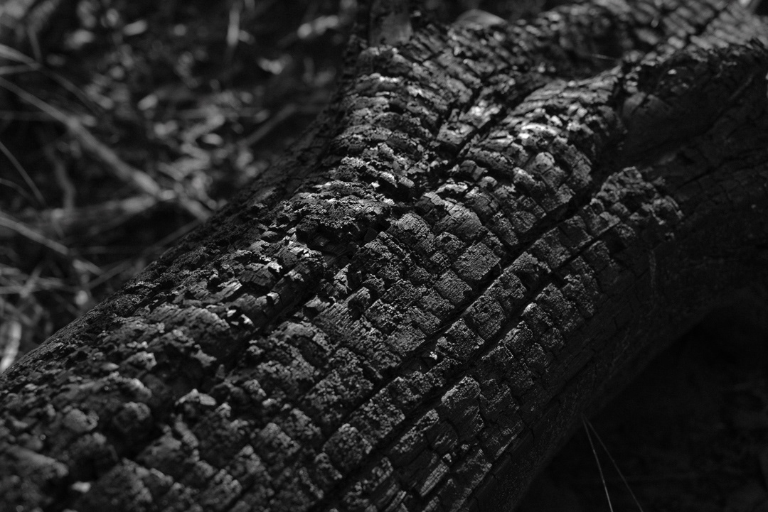 Equidistante © 2025 Leonardo Pavini