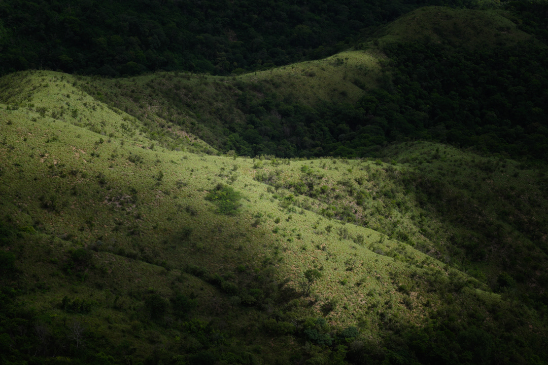 © Leonardo Pavini
